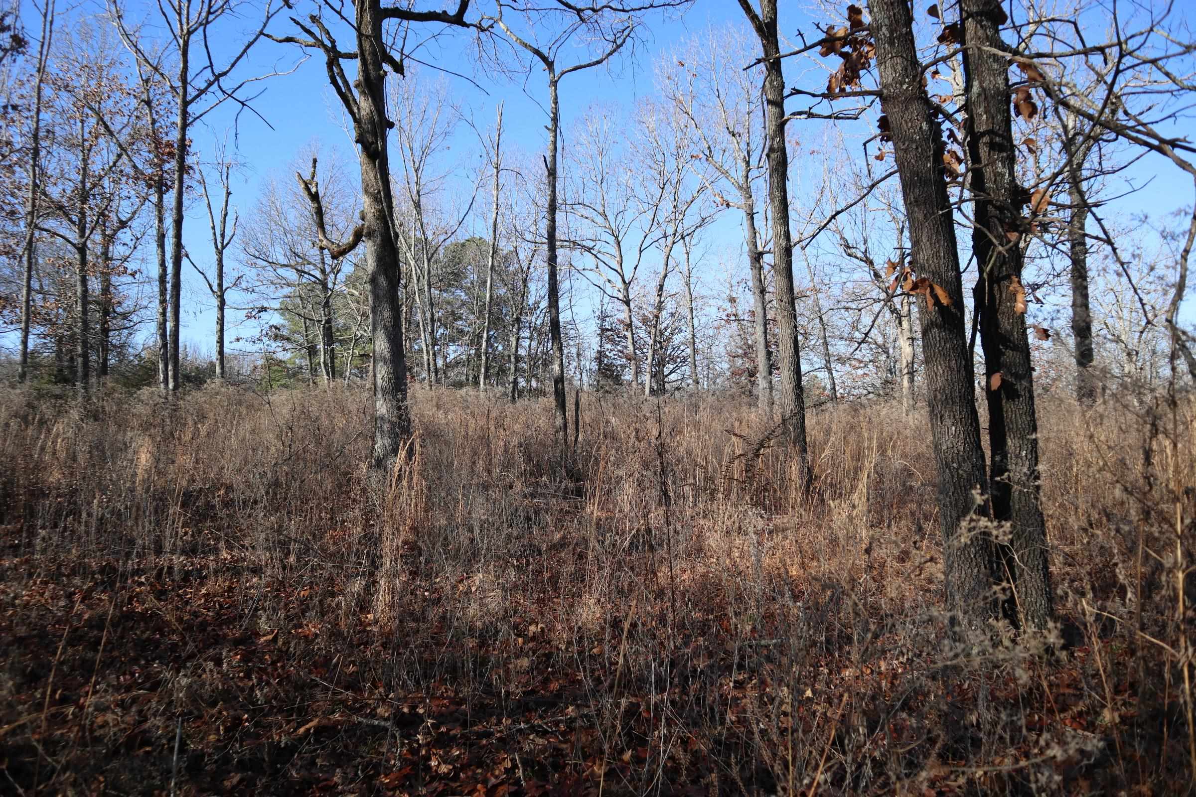 509  Spoon Dr  Horseshoe Bend, AR