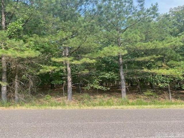 10  Alhaja  Hot Springs Village, AR