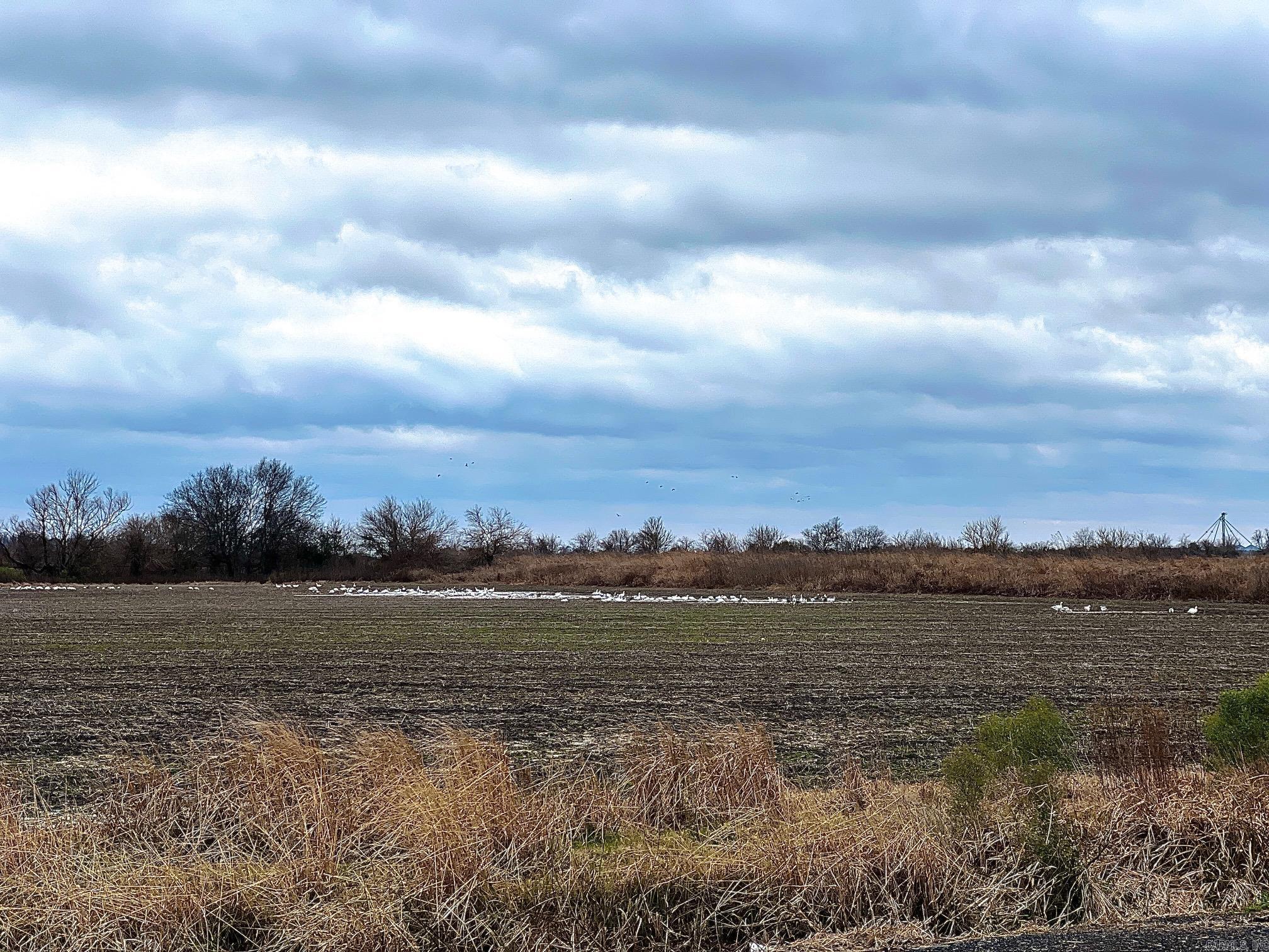 000  HWY 79  Stuttgart, AR
