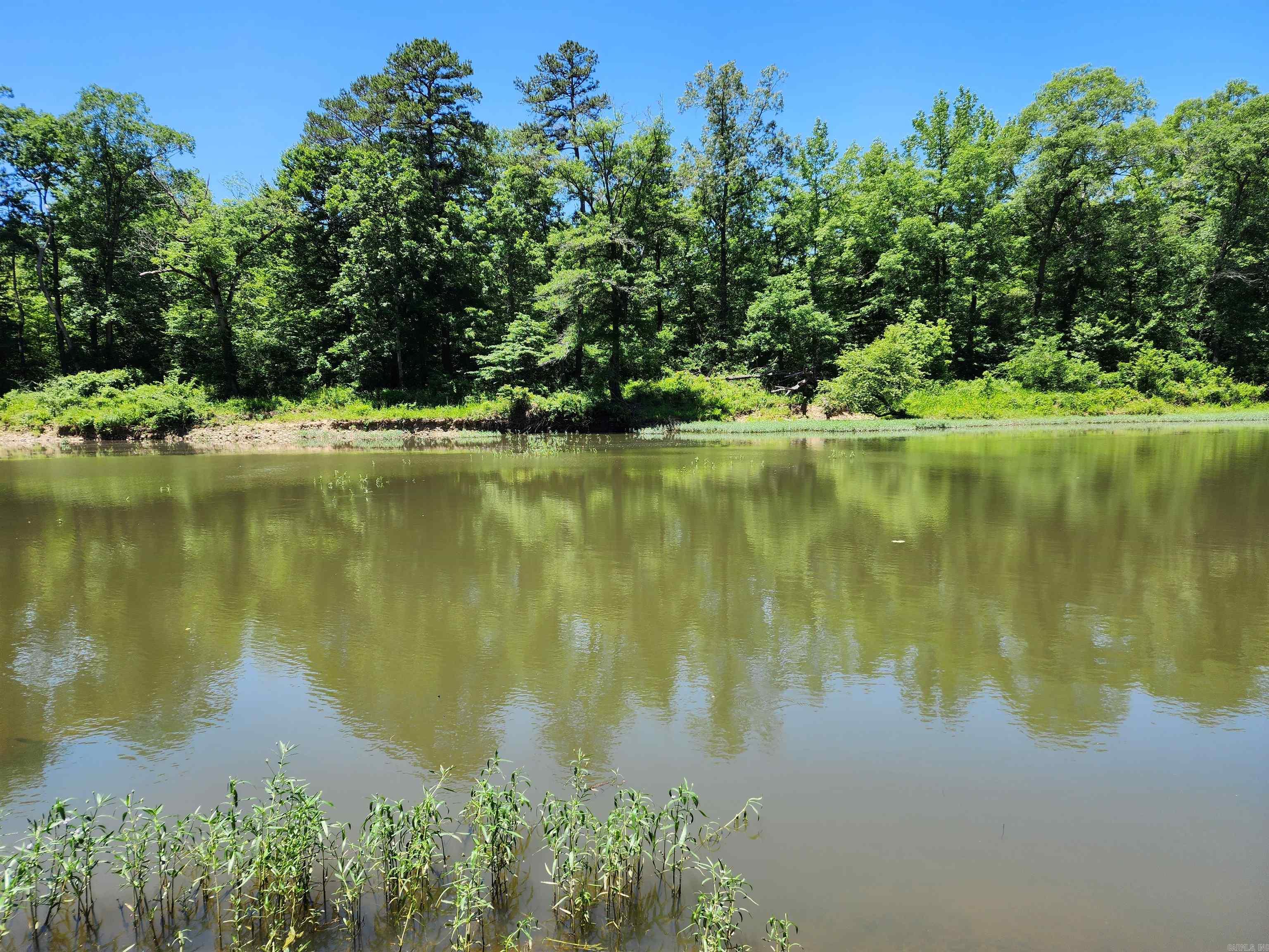 1011  Polk Road 38  Hatfield, AR
