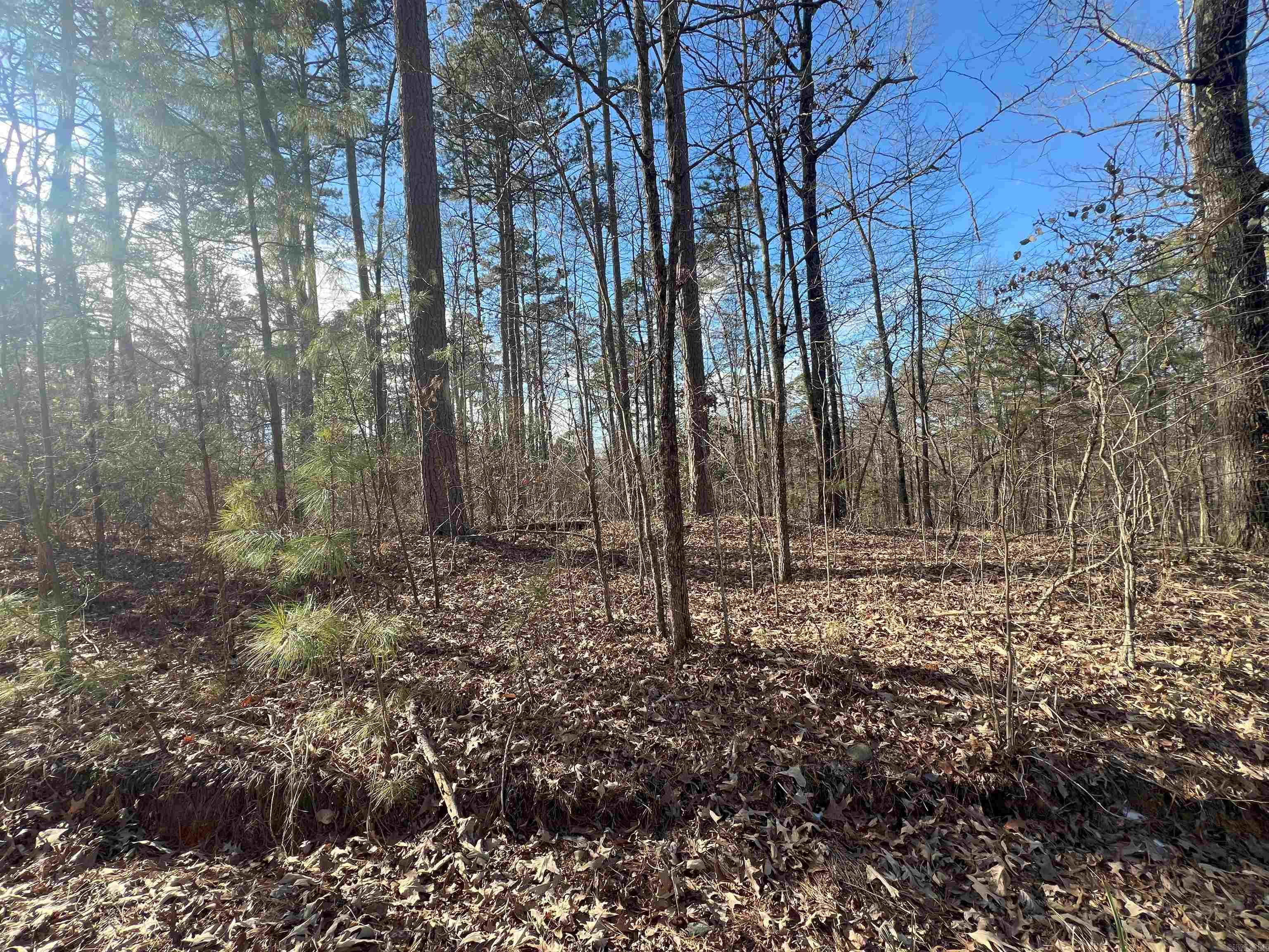 1011  Polk Road 38  Hatfield, AR