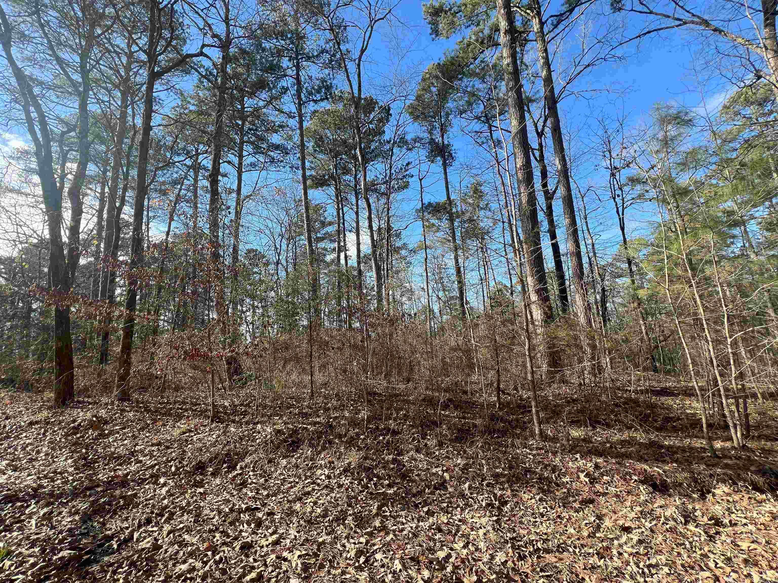 1011  Polk Road 38  Hatfield, AR