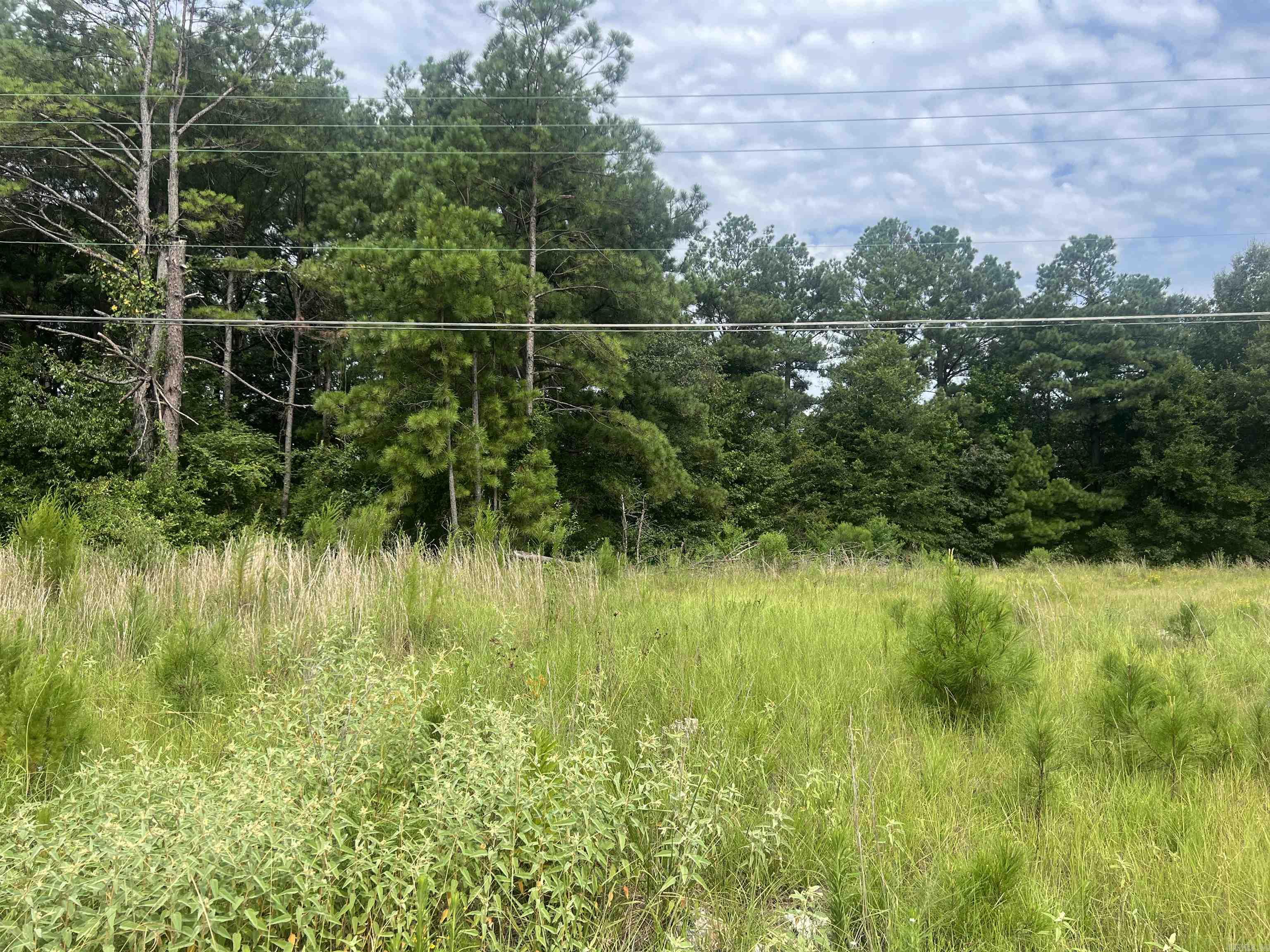 3022  Midland Drive  Pine Bluff, AR