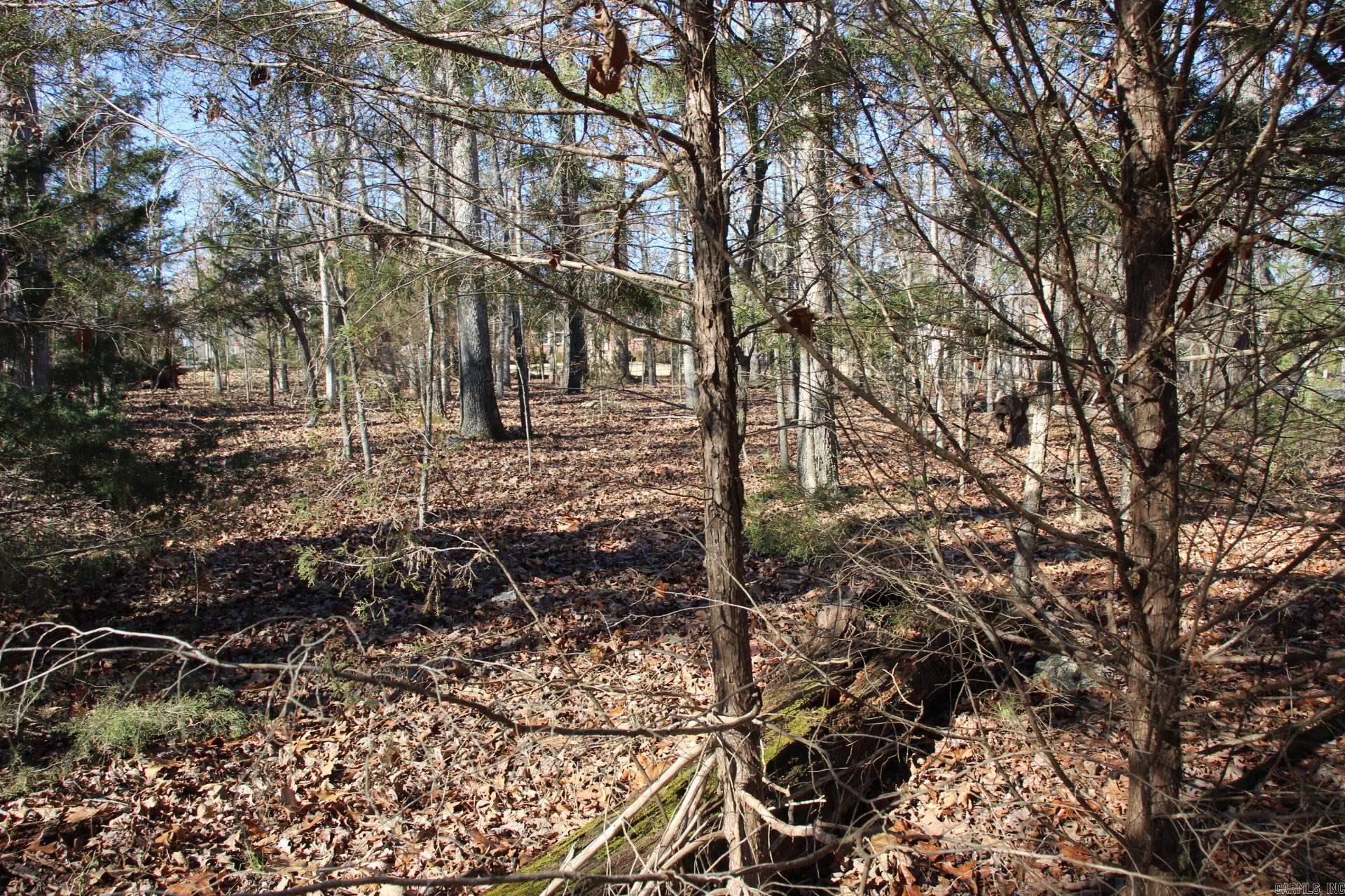 760-25375-000  Versailles  Bull Shoals, AR