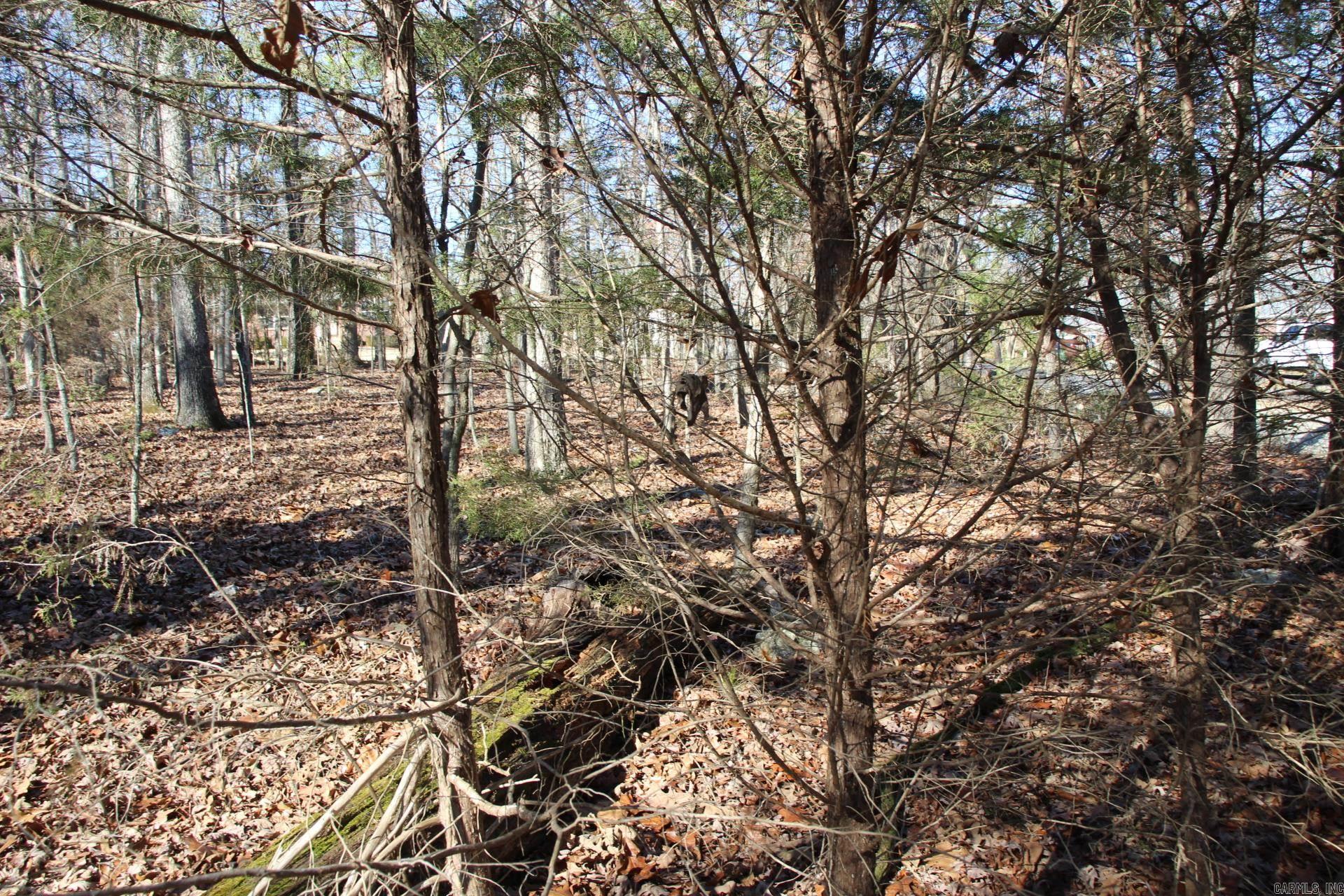 760-25375-000  Versailles  Bull Shoals, AR