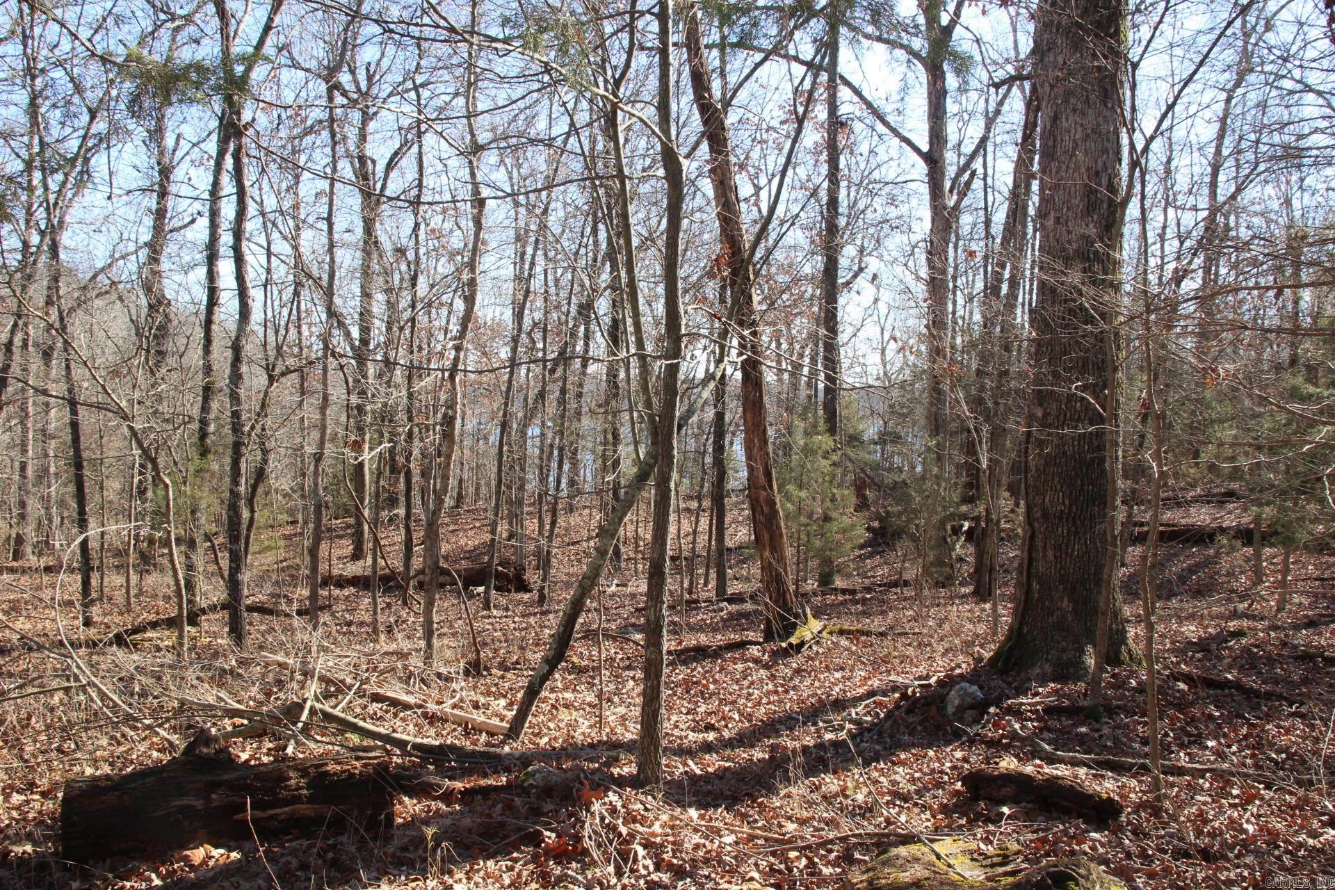 760-25375-000  Versailles  Bull Shoals, AR