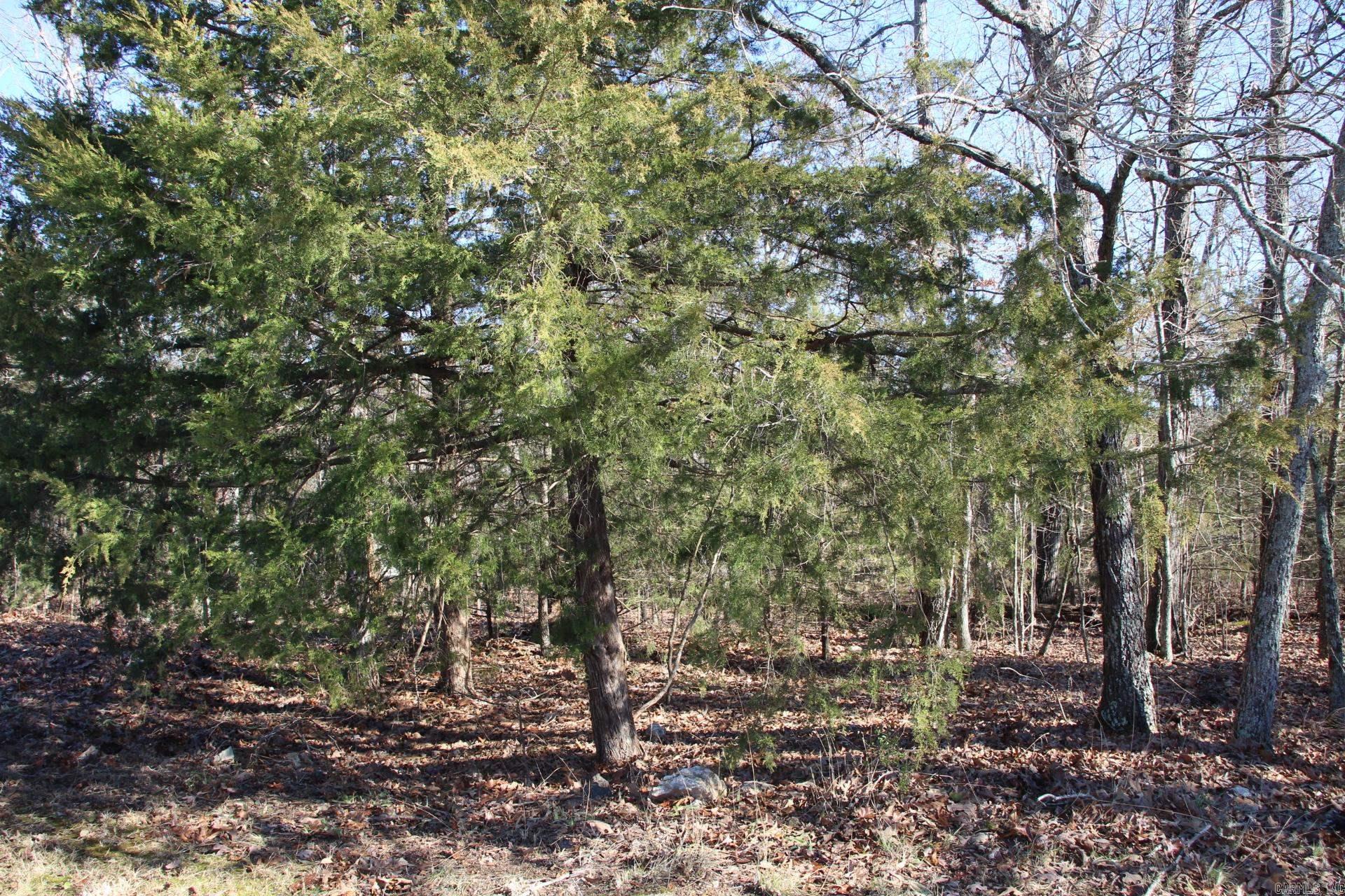 760-25375-000  Versailles  Bull Shoals, AR