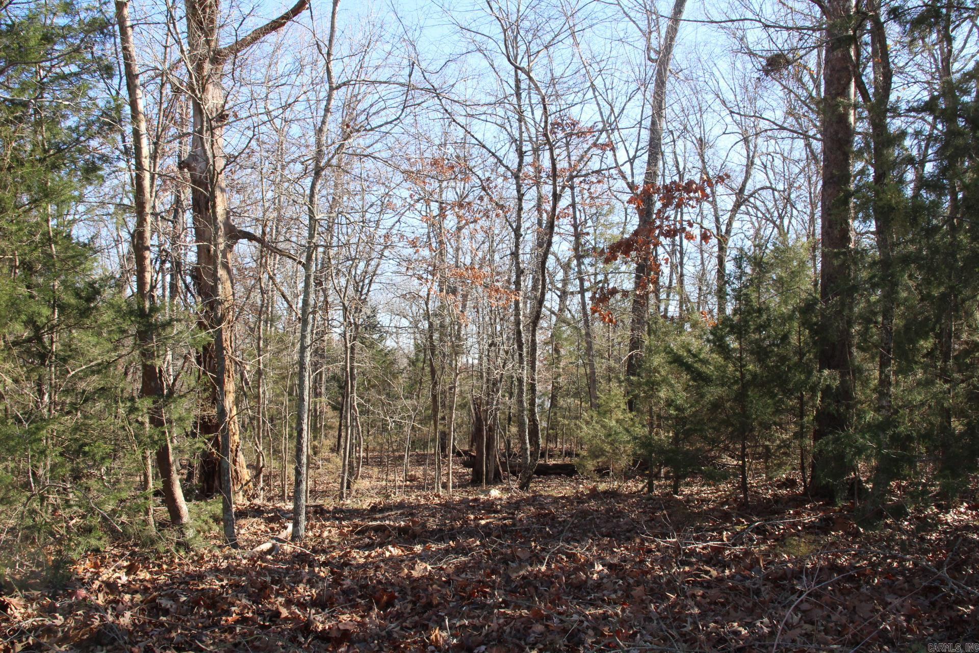 760-25375-000  Versailles  Bull Shoals, AR