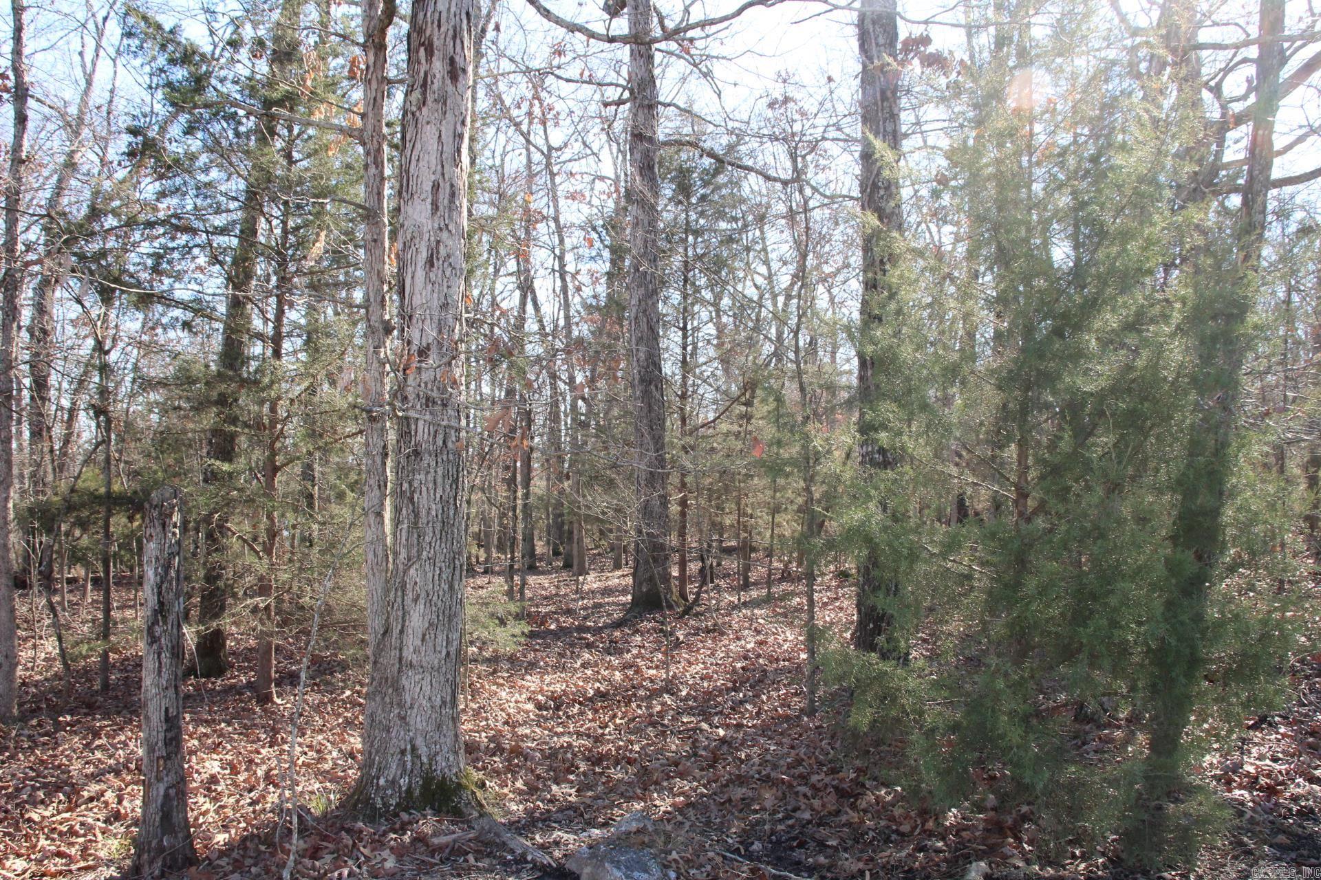 760-25375-000  Versailles  Bull Shoals, AR