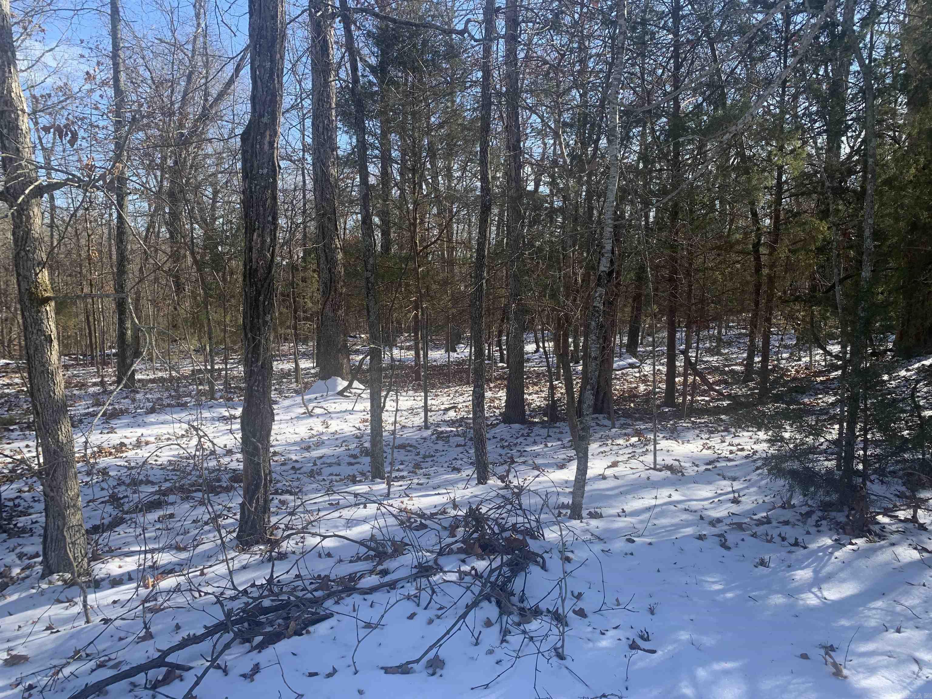 760-25375-000  Versailles  Bull Shoals, AR