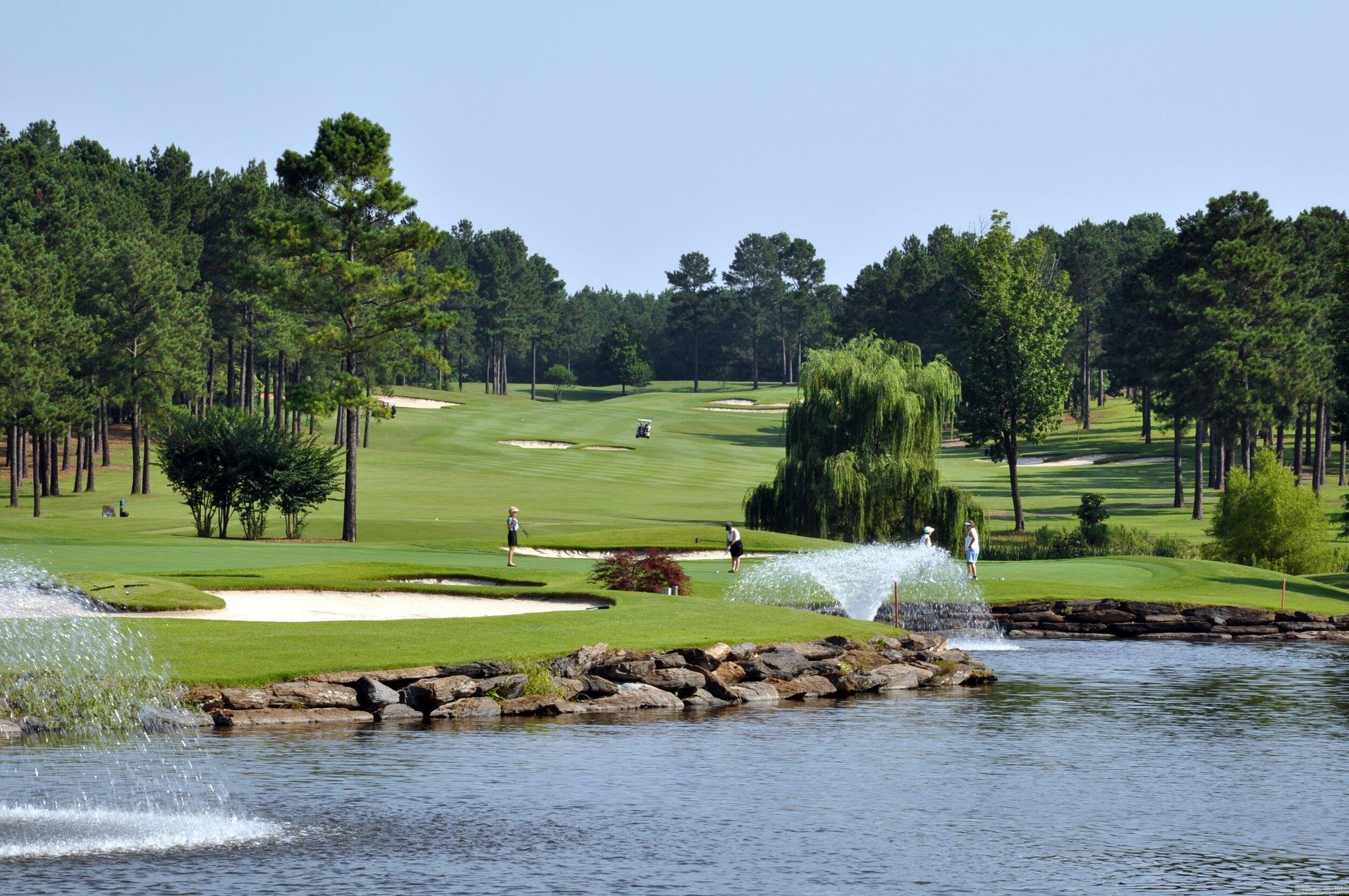 18  Poema Lane lot 10 block 21 DIAMANTE Hot Springs Village, AR