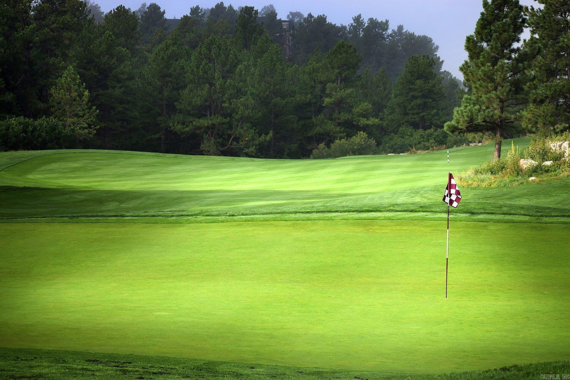 18  Poema Lane lot 10 block 21 DIAMANTE Hot Springs Village, AR
