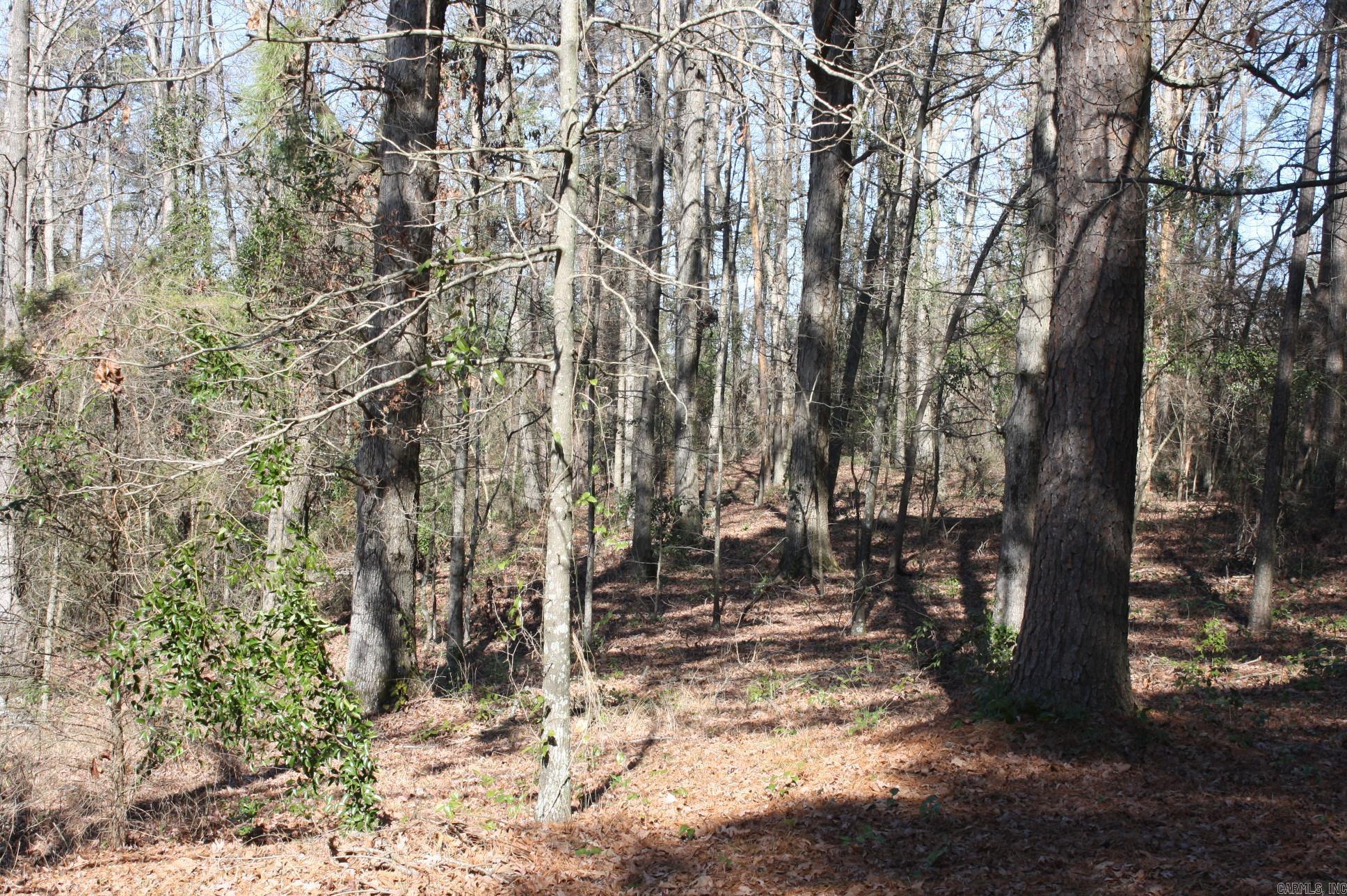   Fox Run  Nashville, AR