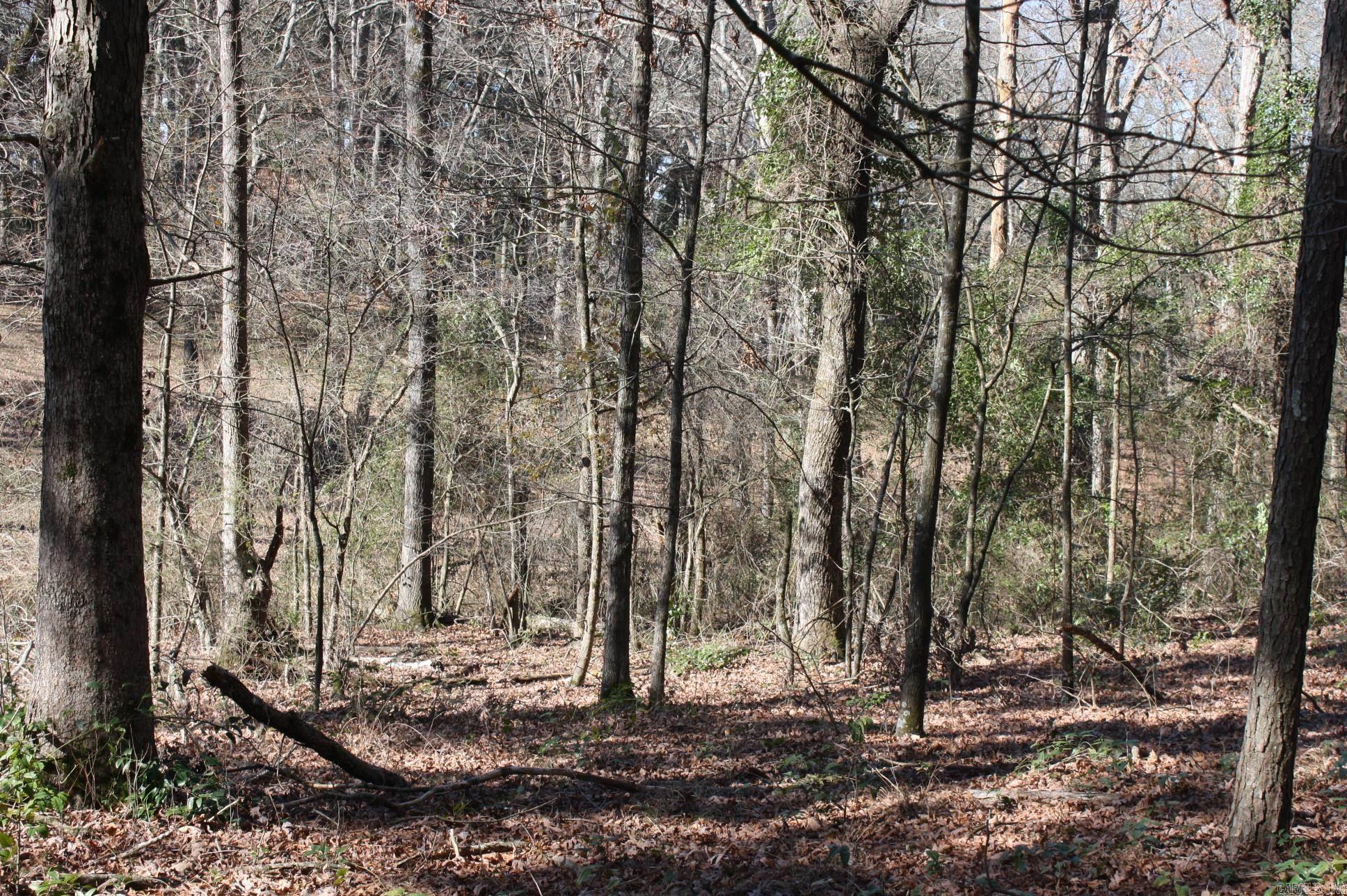   Fox Run  Nashville, AR