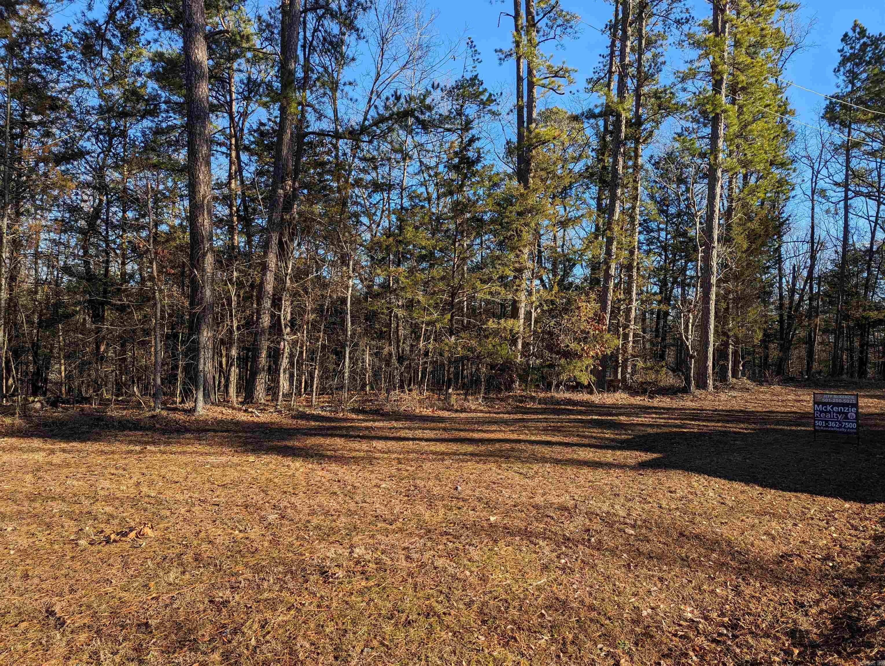 Lot 20  River Ridge Estates  Heber Springs, AR