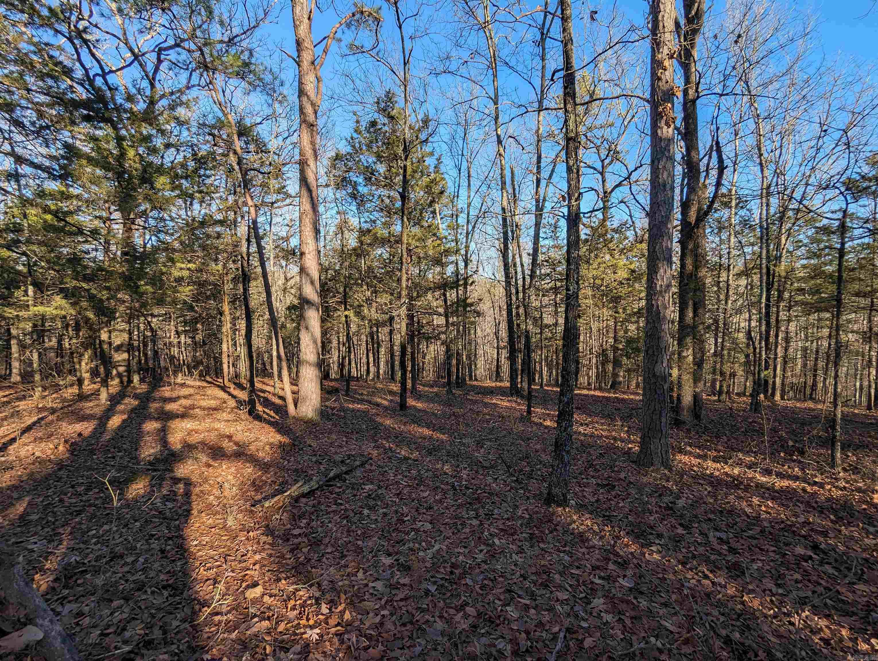 Lot 20  River Ridge Estates  Heber Springs, AR
