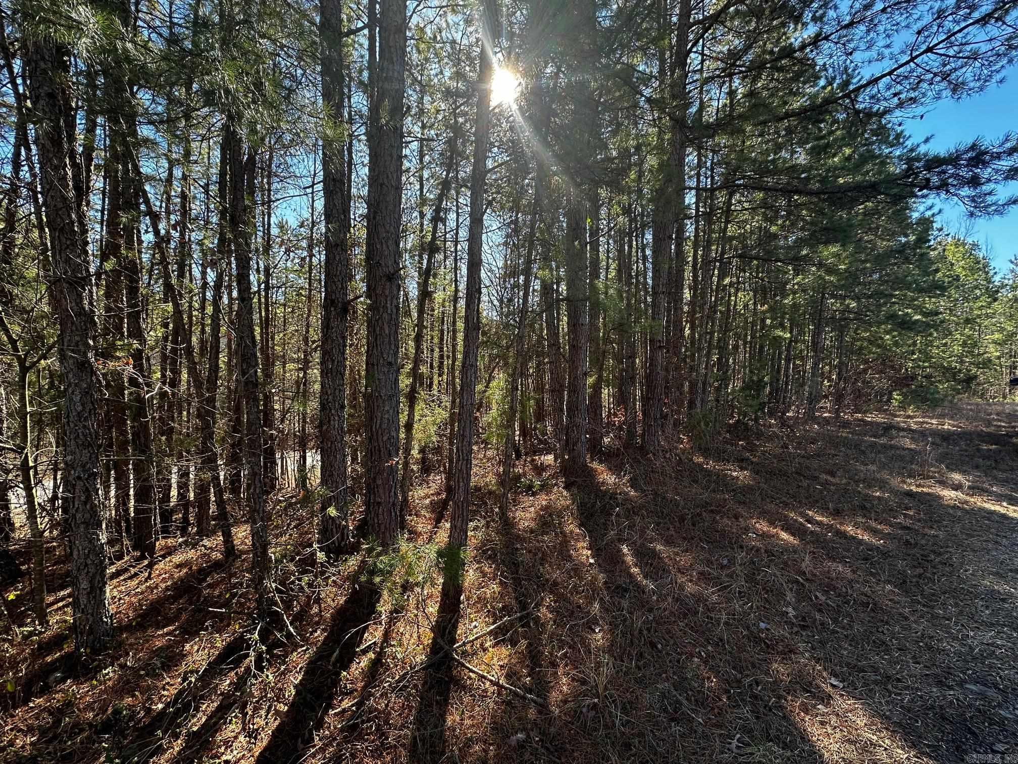 Lot 108  Cobalt Bay Drive  Shirley, AR