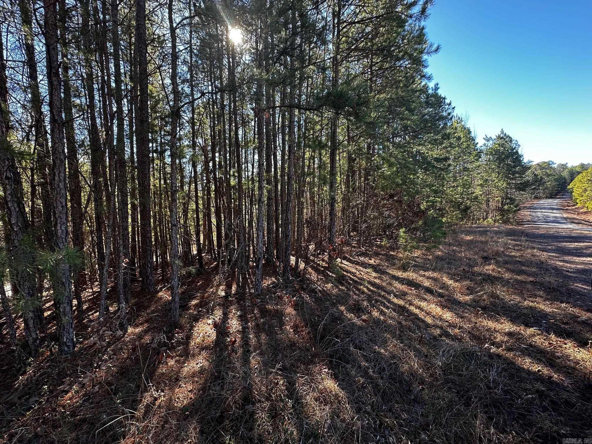 Lot 108  Cobalt Bay Drive  Shirley, AR