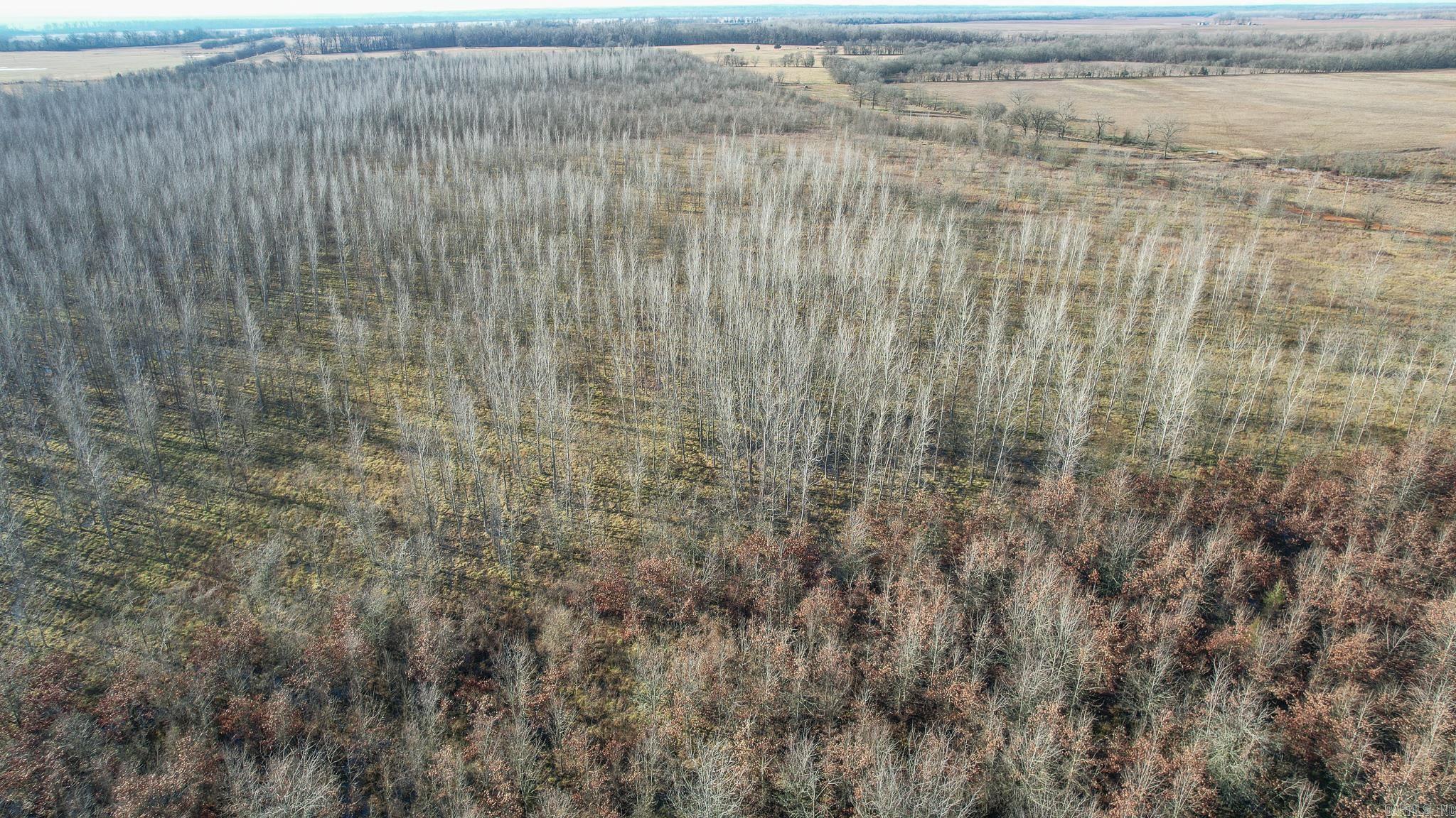 TBD  Little River 32  Ashdown, AR