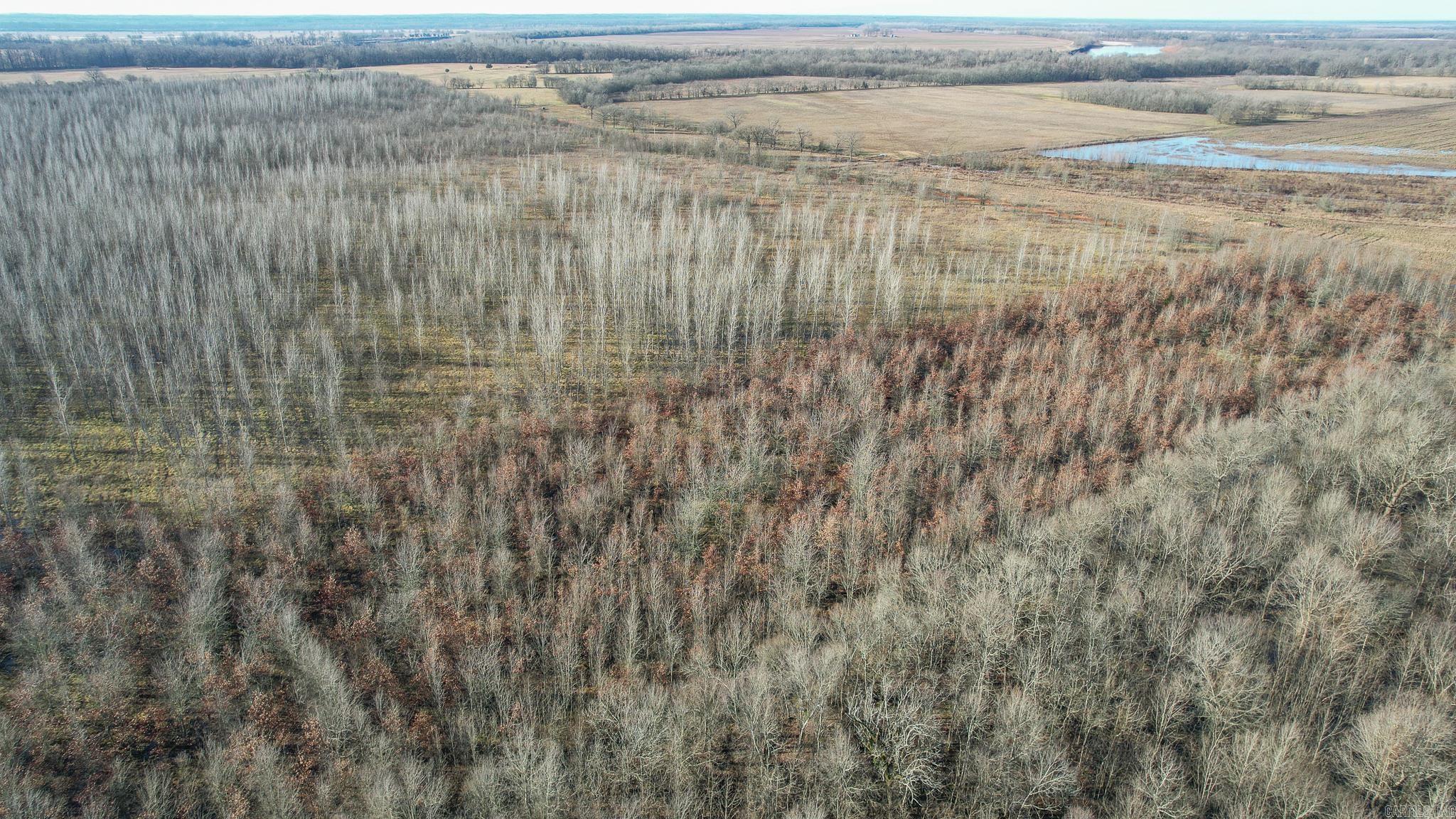 TBD  Little River 32  Ashdown, AR