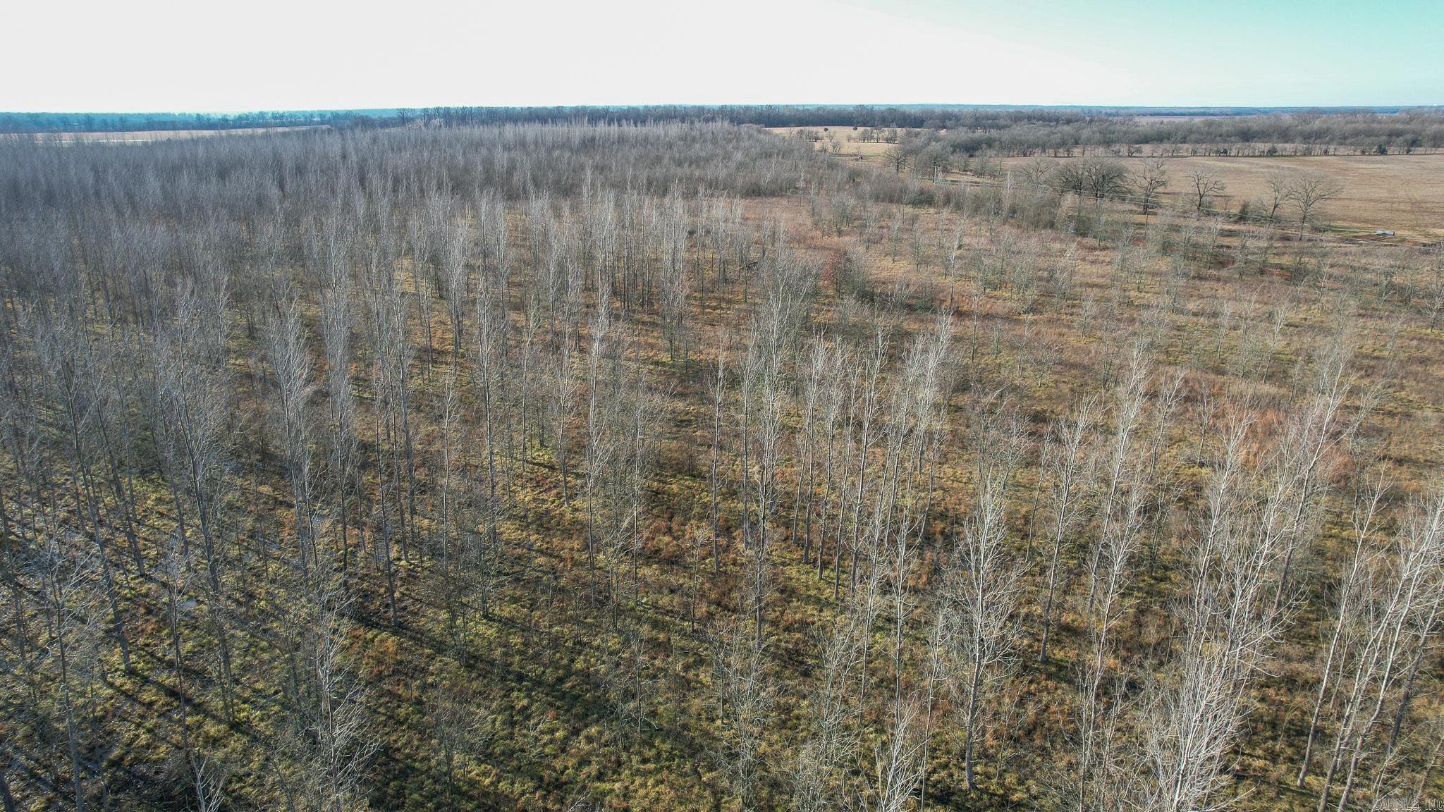 TBD  Little River 32  Ashdown, AR