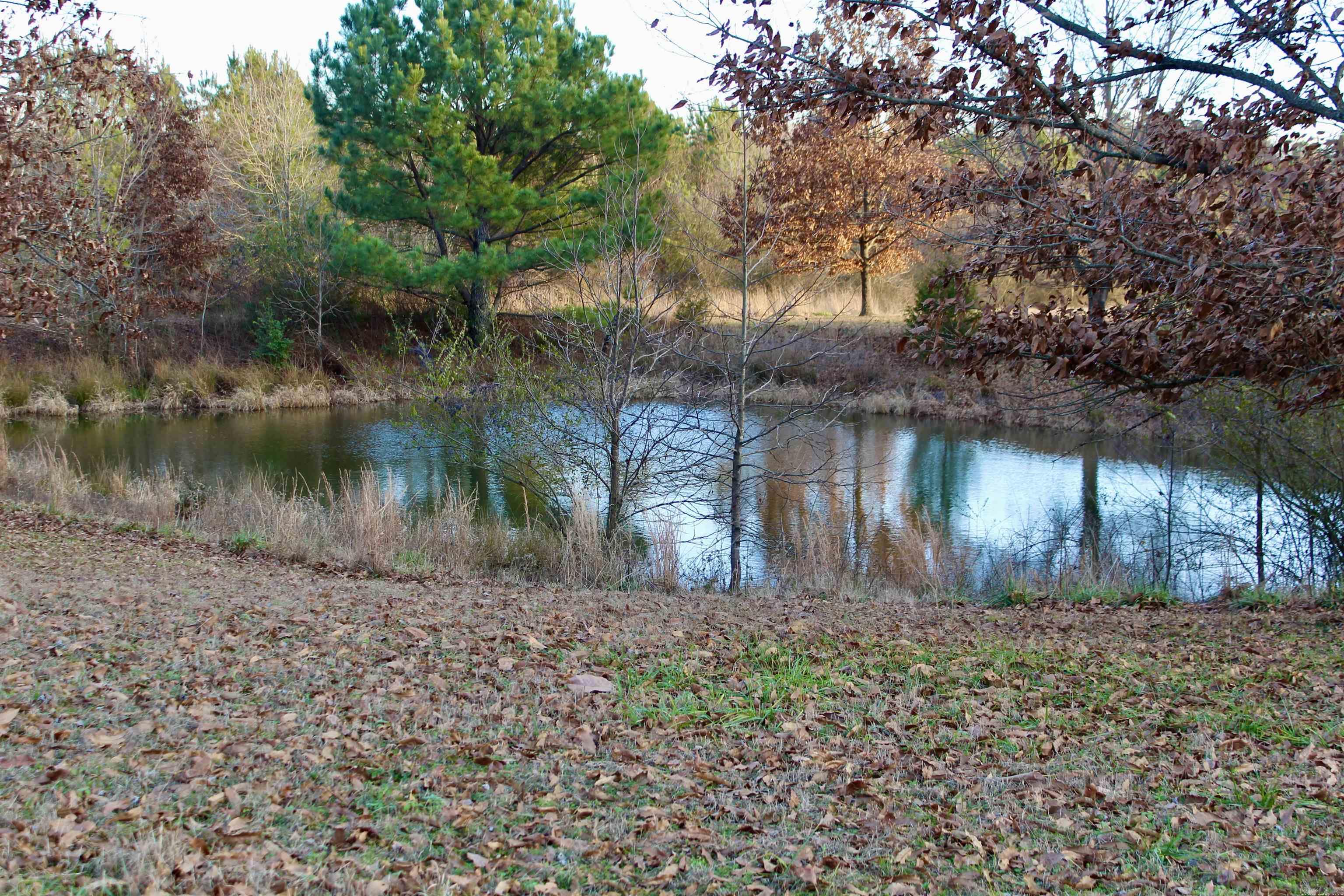 686  Polk 38  Hatfield, AR