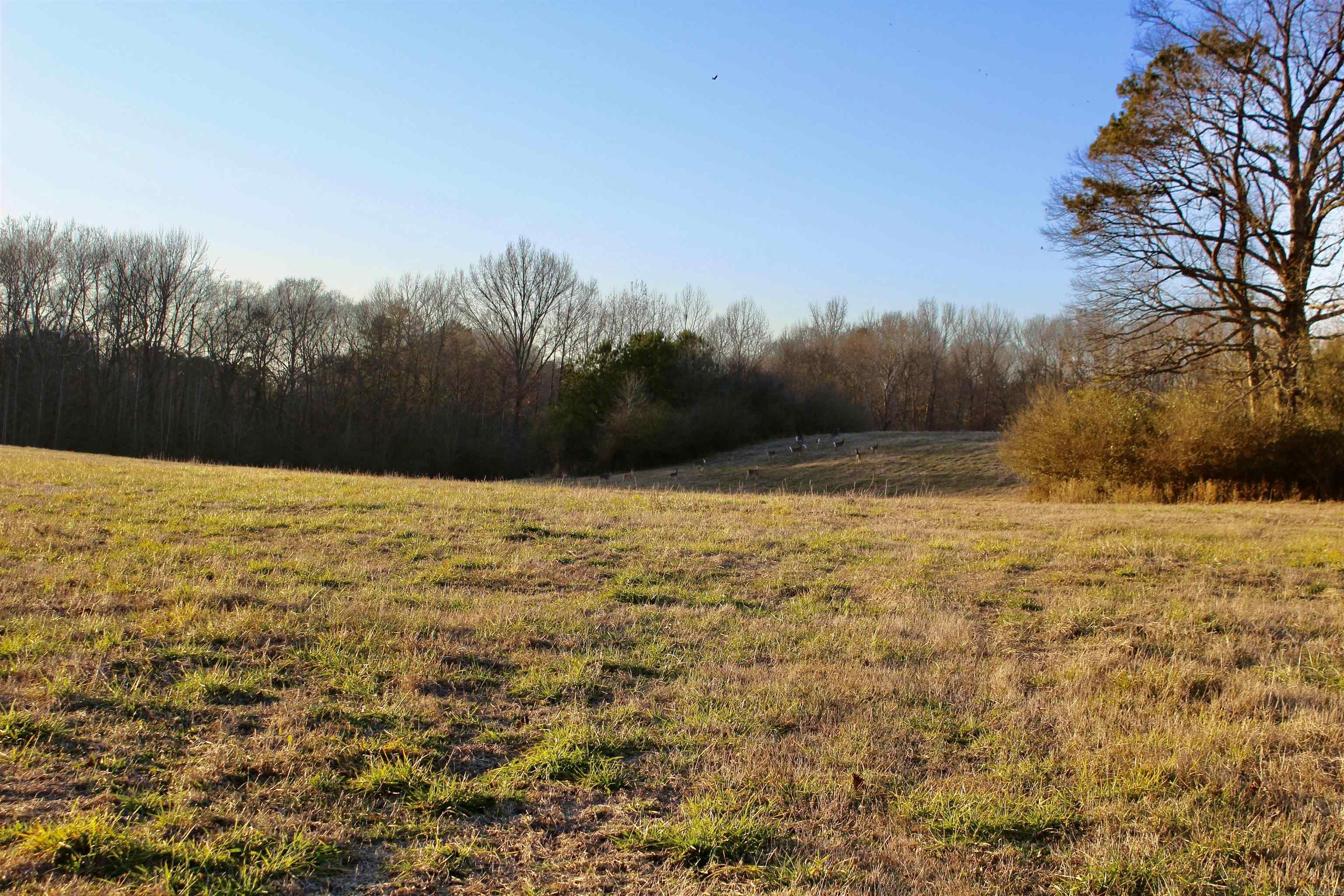686  Polk 38  Hatfield, AR