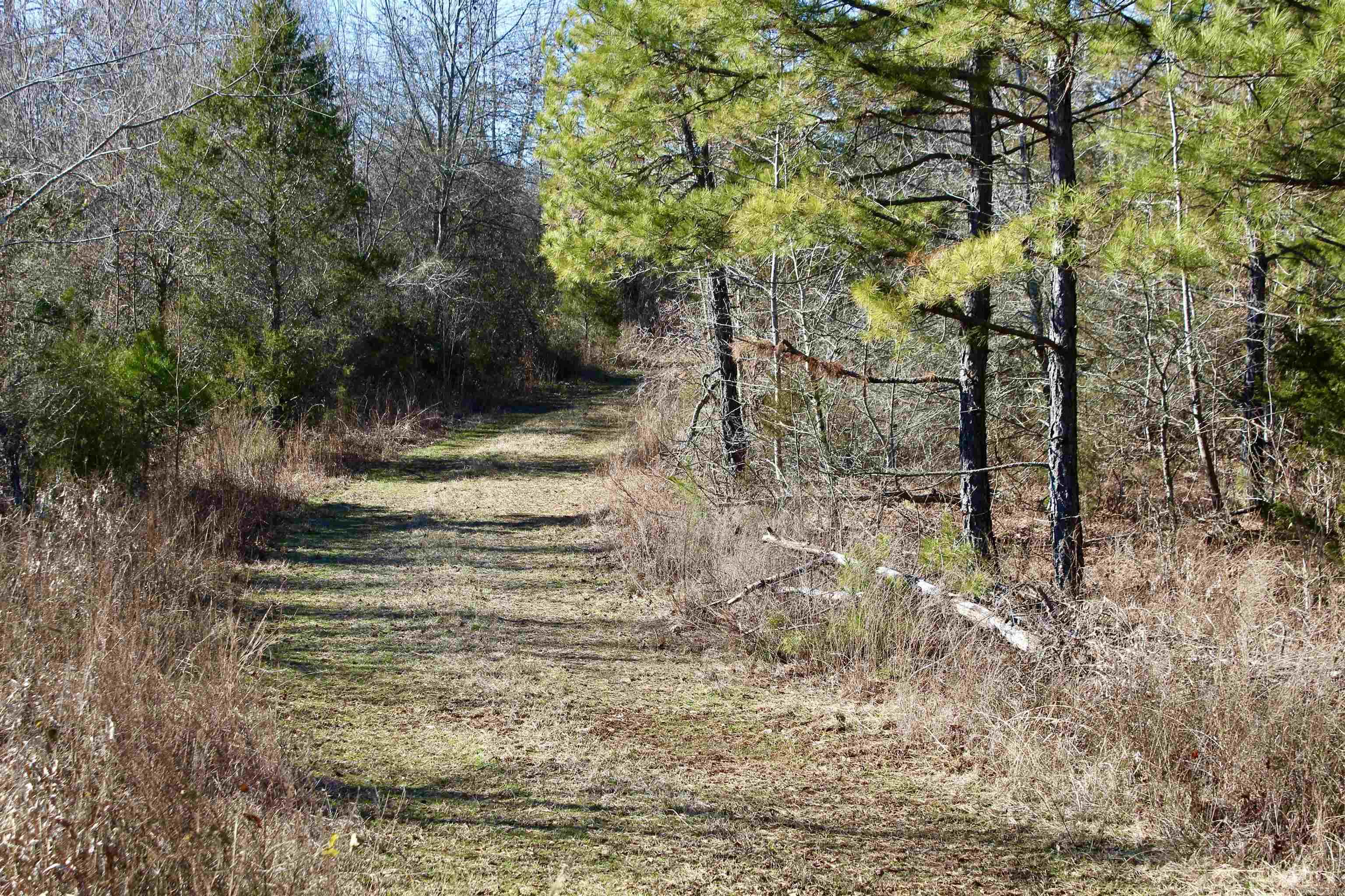 686  Polk 38  Hatfield, AR