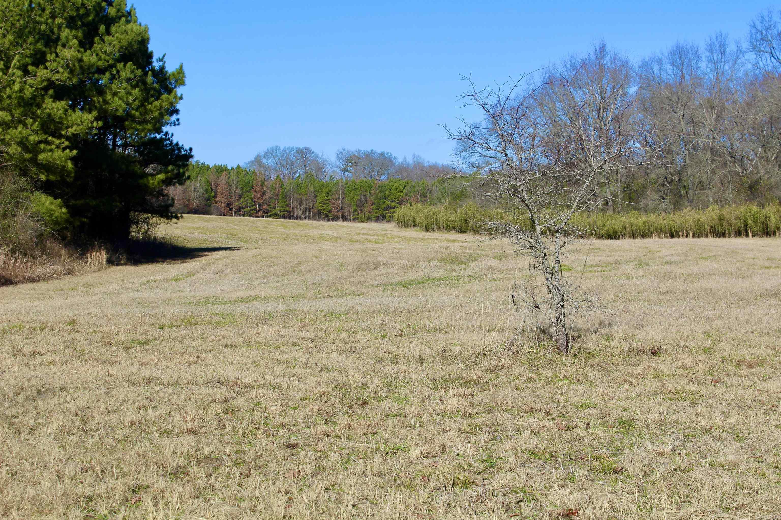 686  Polk 38  Hatfield, AR