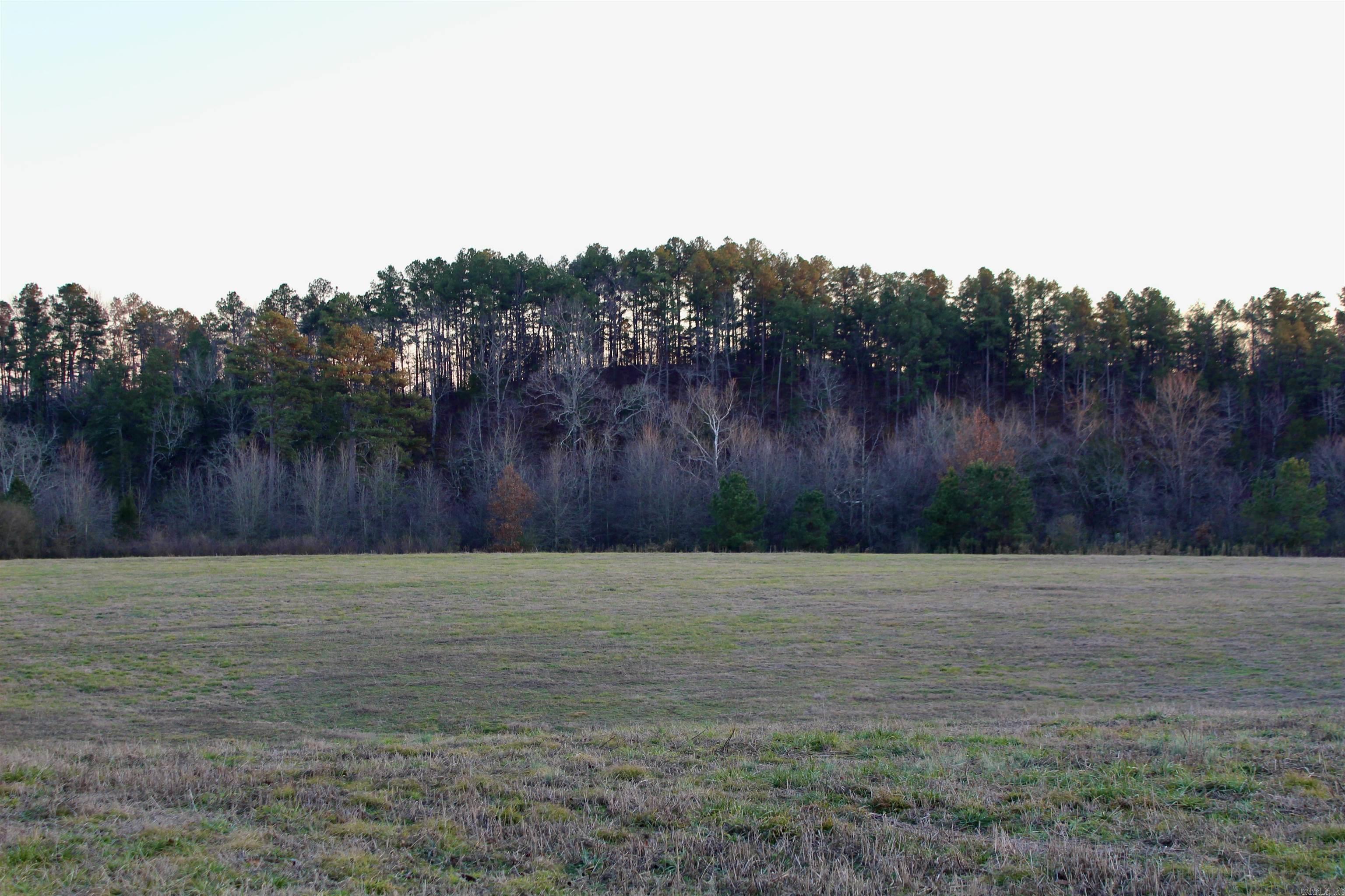 686  Polk 38  Hatfield, AR