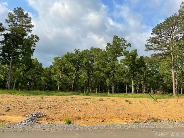   Orchard Hill Lot 31 Ph 3  Conway, AR