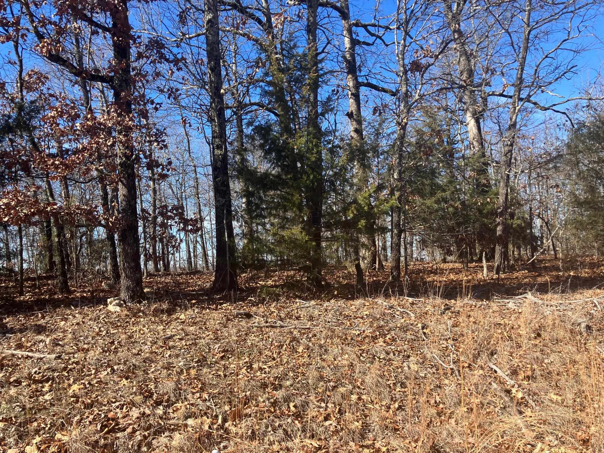 605  Lone Oak Road  Williford, AR
