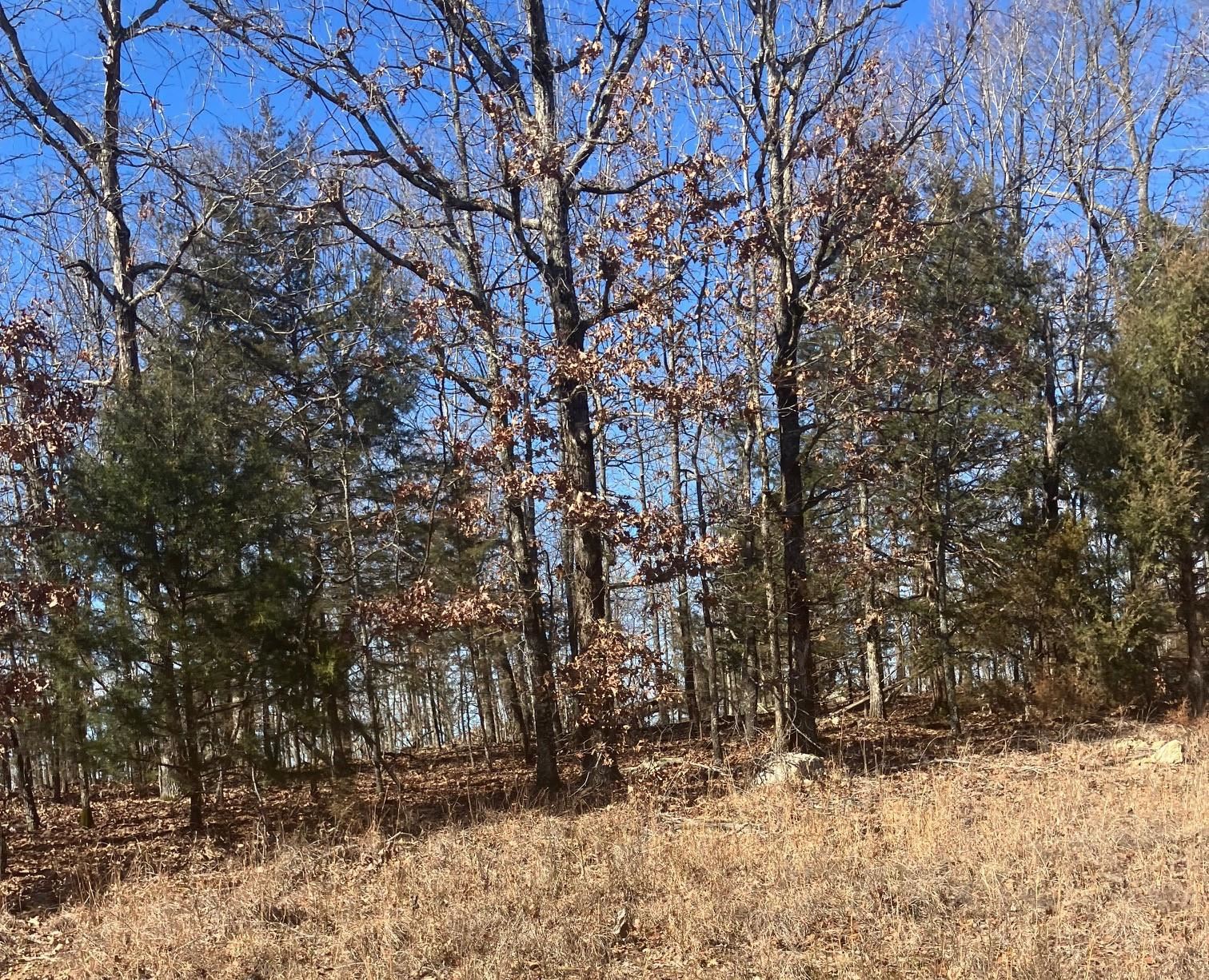 605  Lone Oak Road  Williford, AR