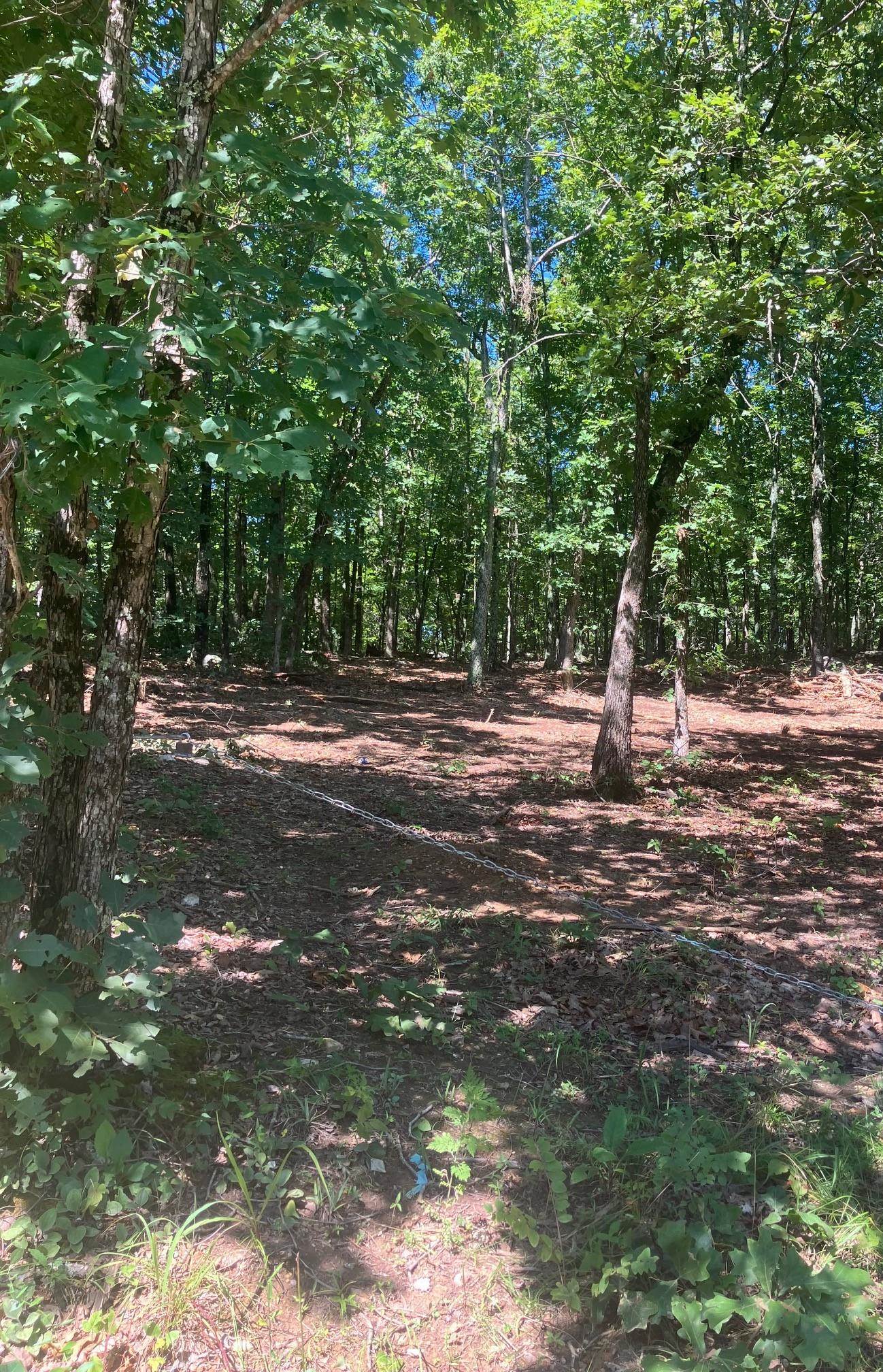 605  Lone Oak Road  Williford, AR