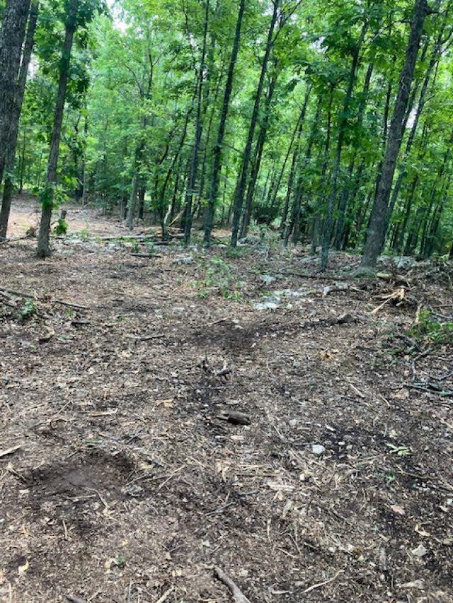 605  Lone Oak Road  Williford, AR