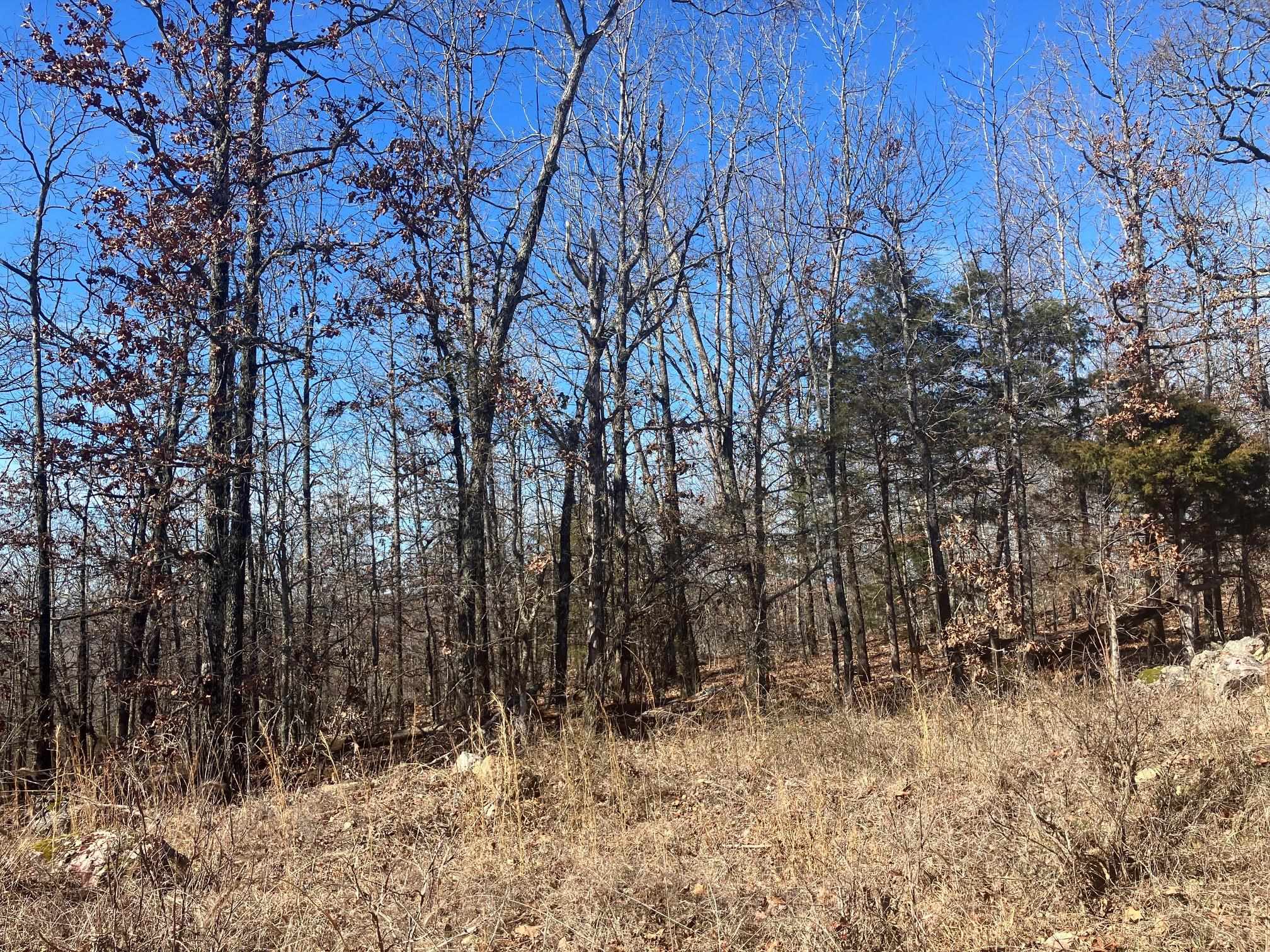 605  Lone Oak Road  Williford, AR