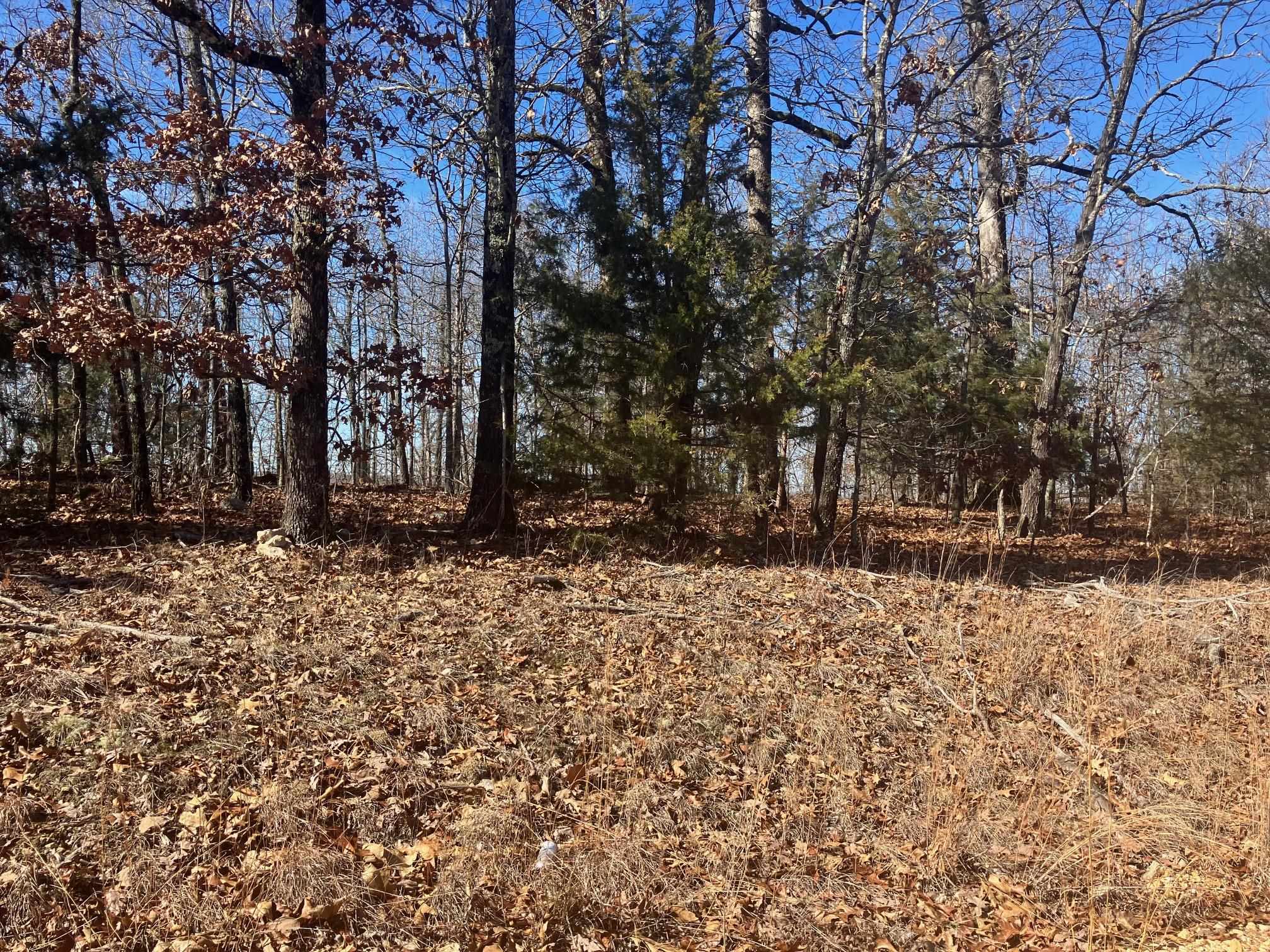 605  Lone Oak Road  Williford, AR