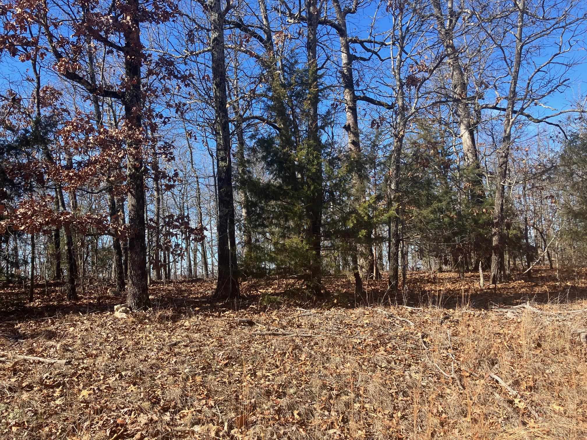 605  Lone Oak Road  Williford, AR