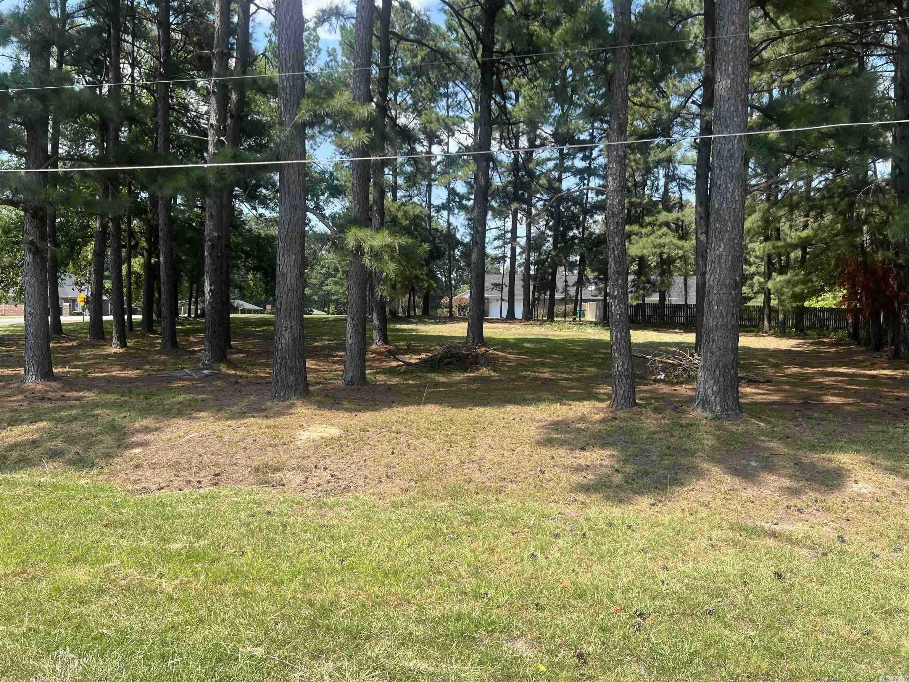 0  Michael Ann  White Hall, AR