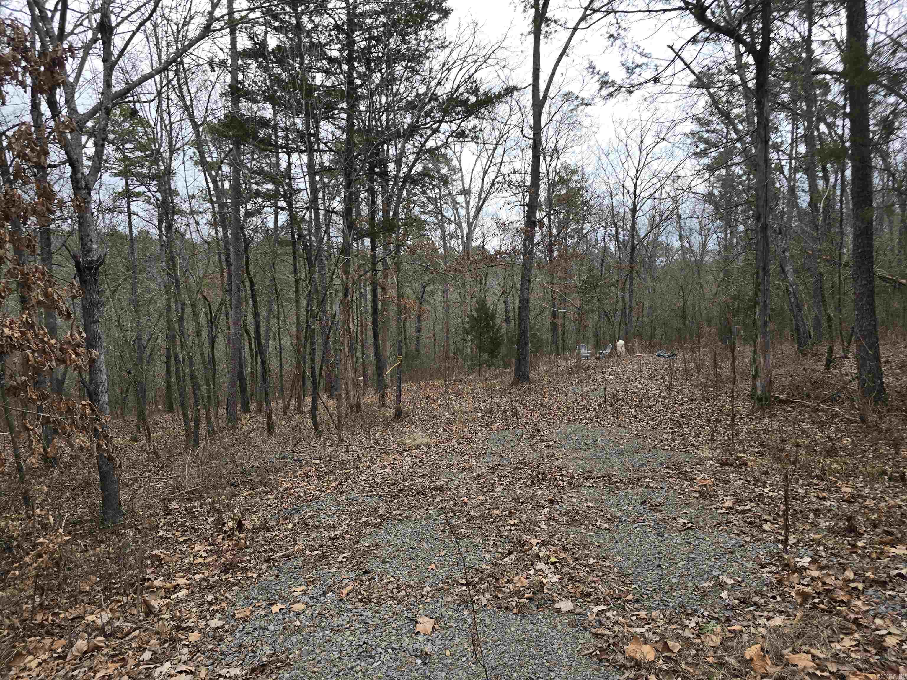 181  cedar wood  Clinton, AR