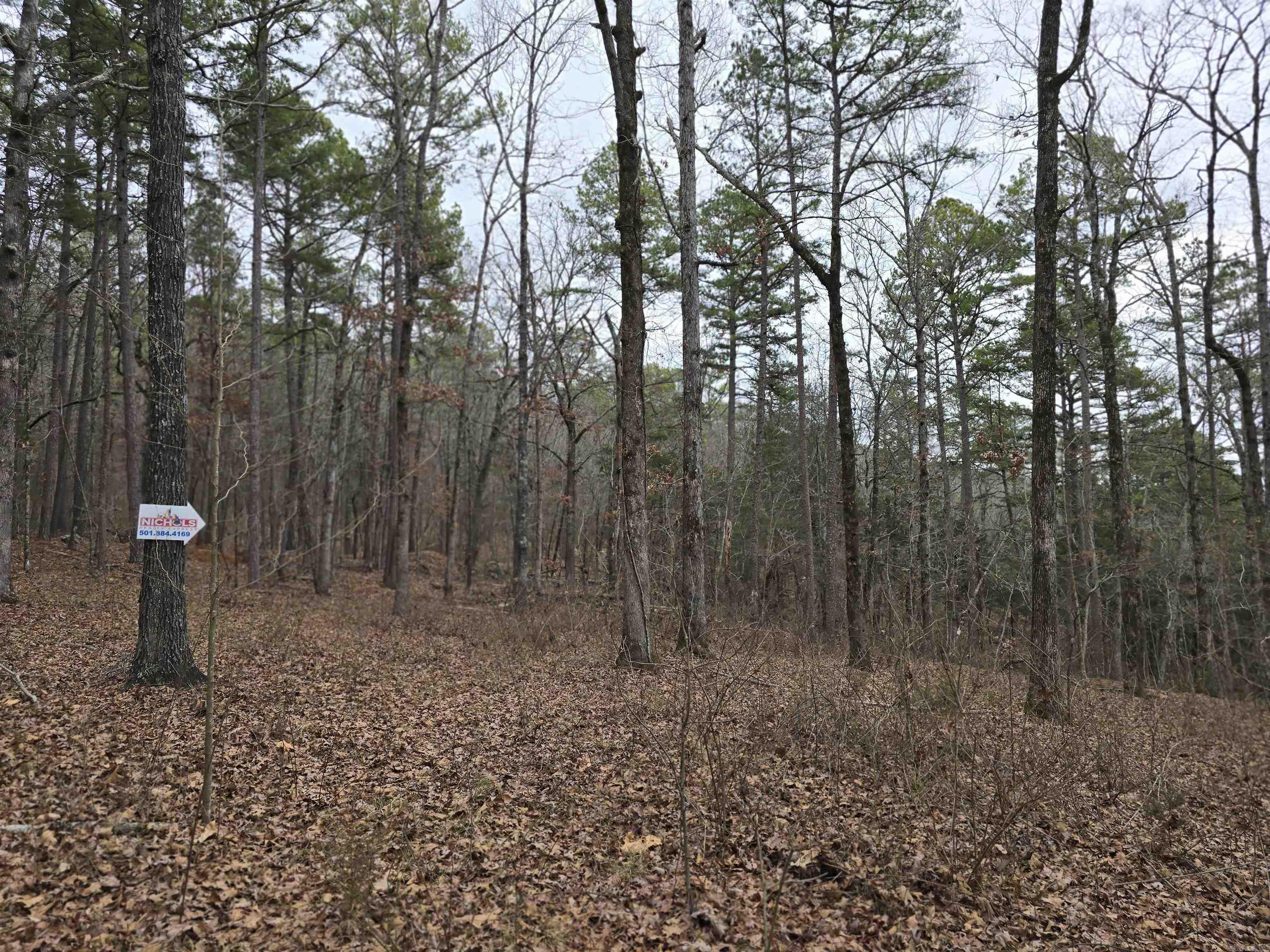 181  cedar wood  Clinton, AR