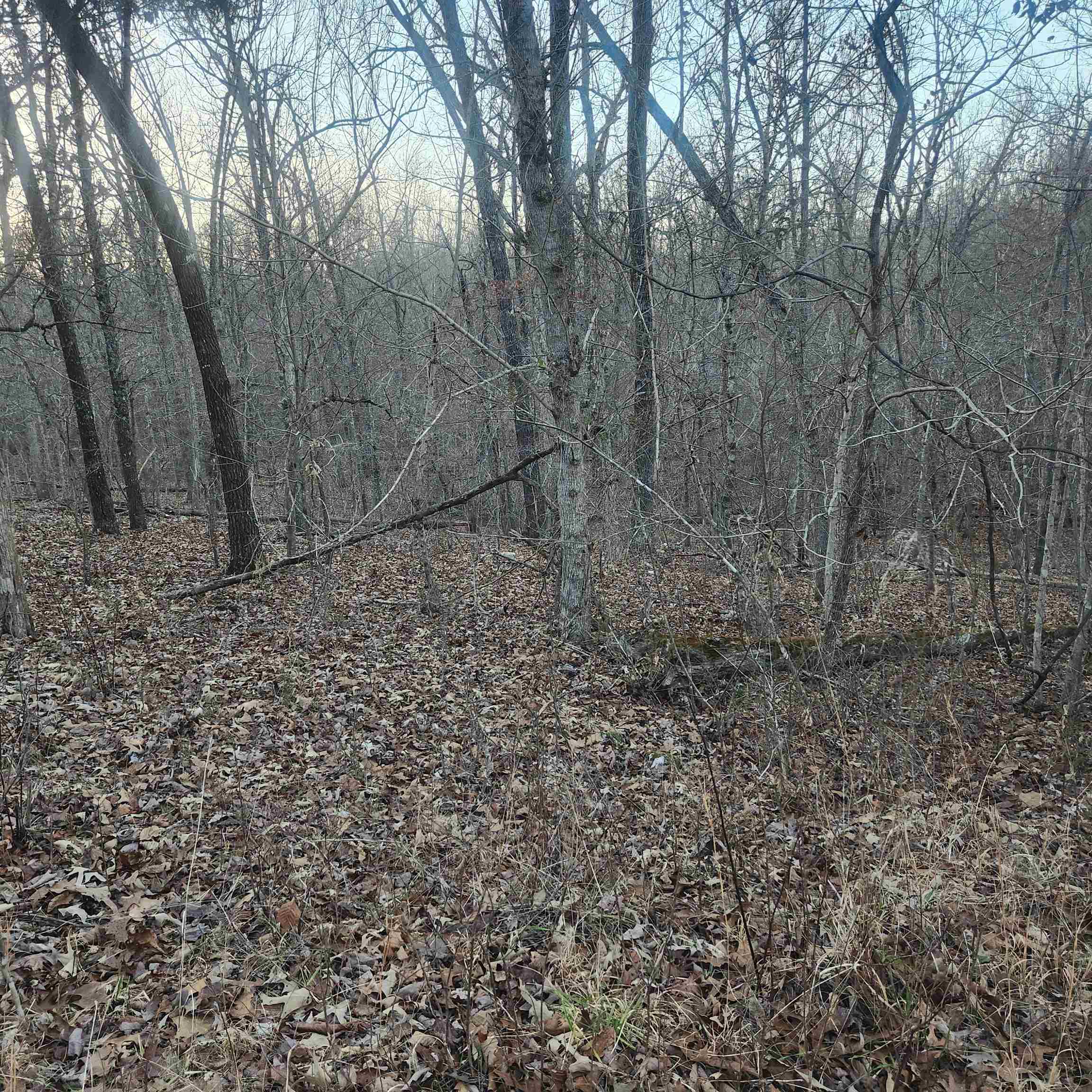 L-08, B-24  Piegan  Cherokee Village, AR