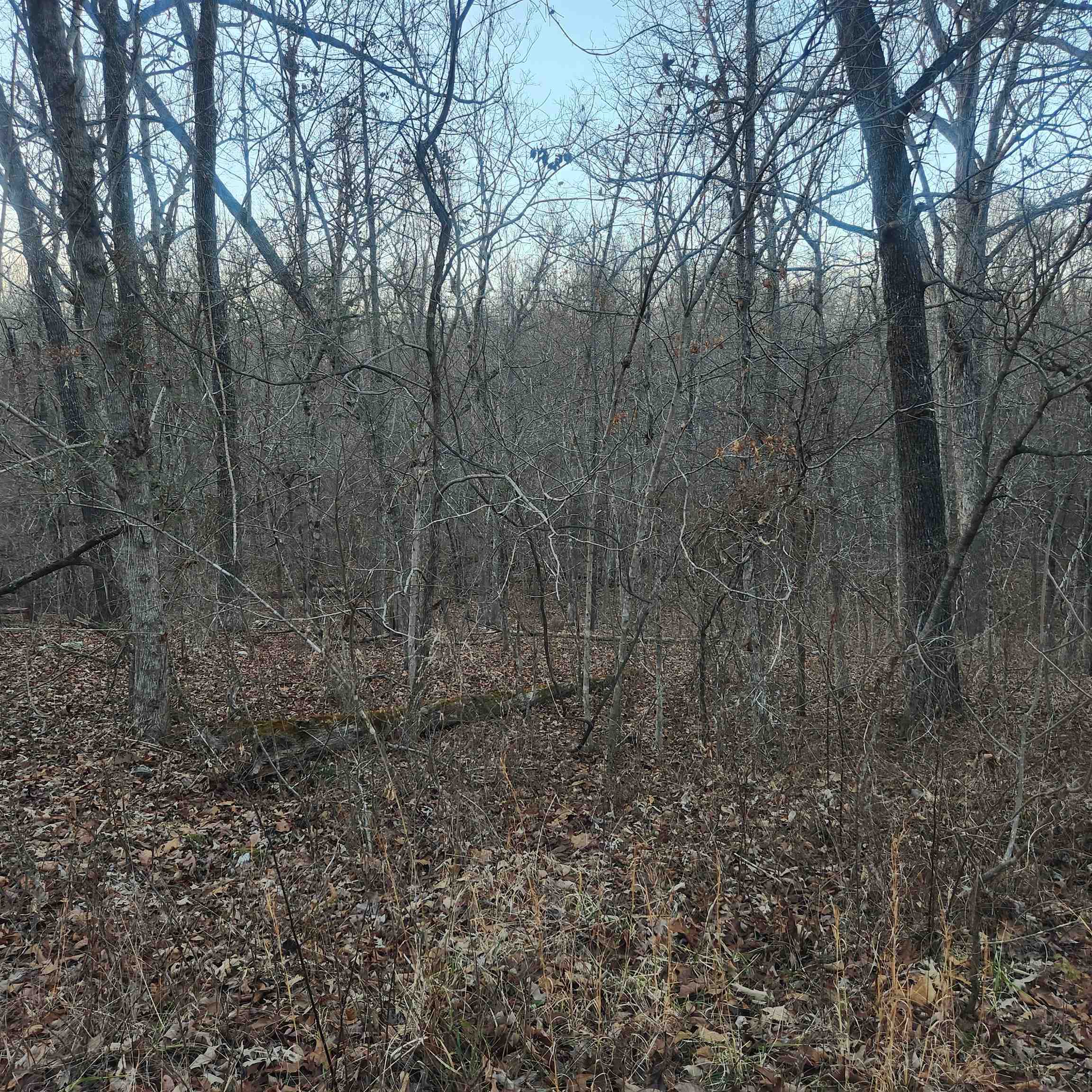 L-08, B-24  Piegan  Cherokee Village, AR