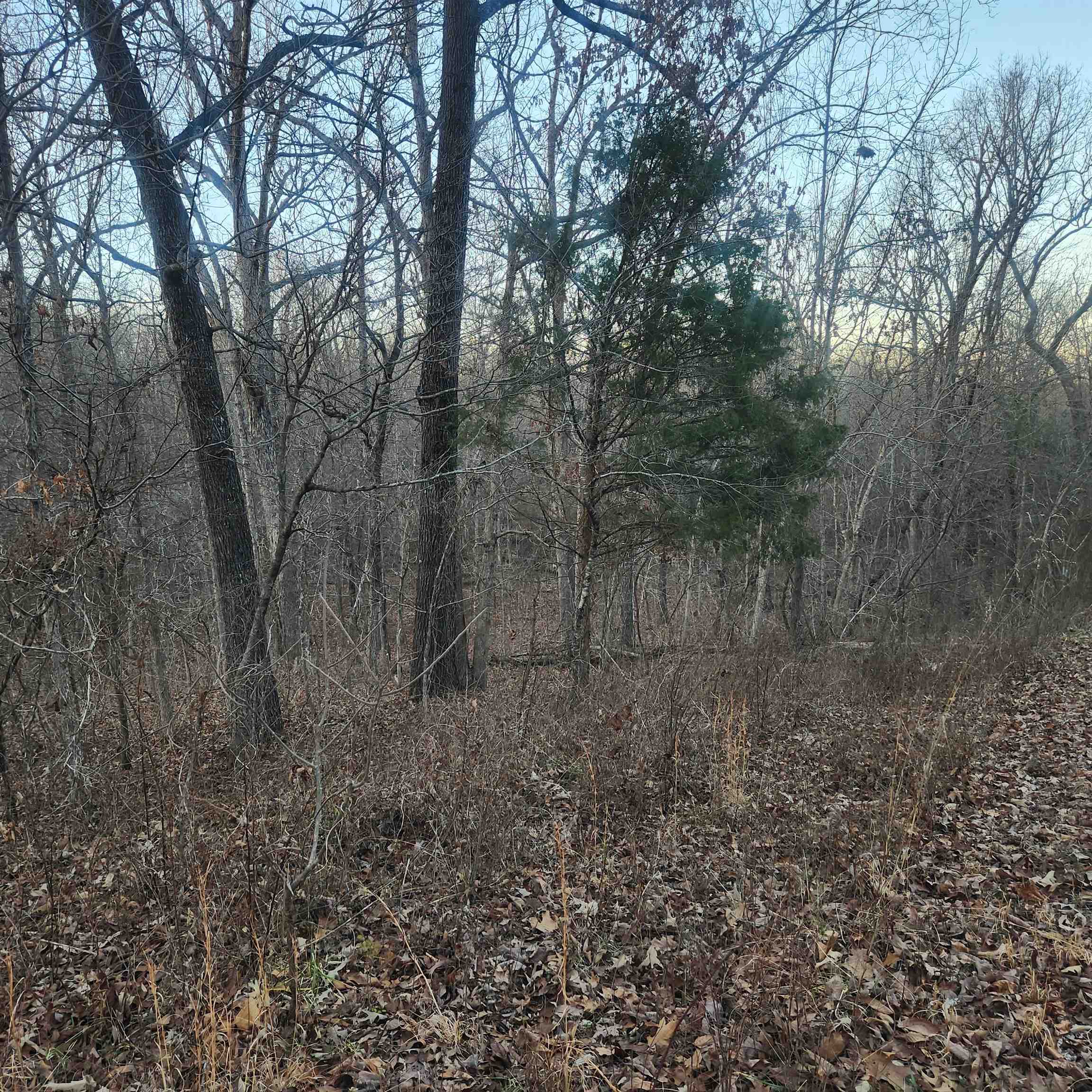 L-08, B-24  Piegan  Cherokee Village, AR