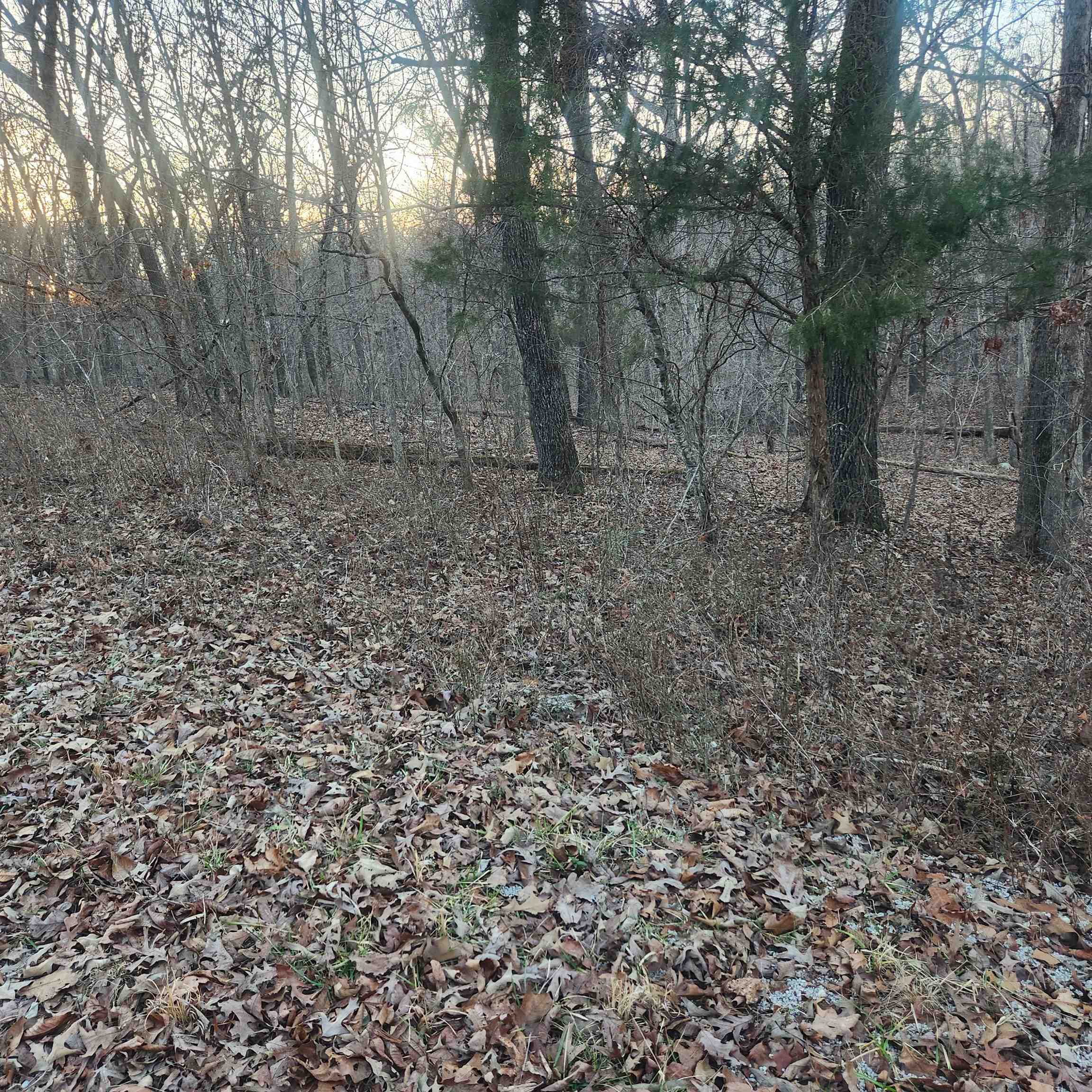 L-08, B-24  Piegan  Cherokee Village, AR
