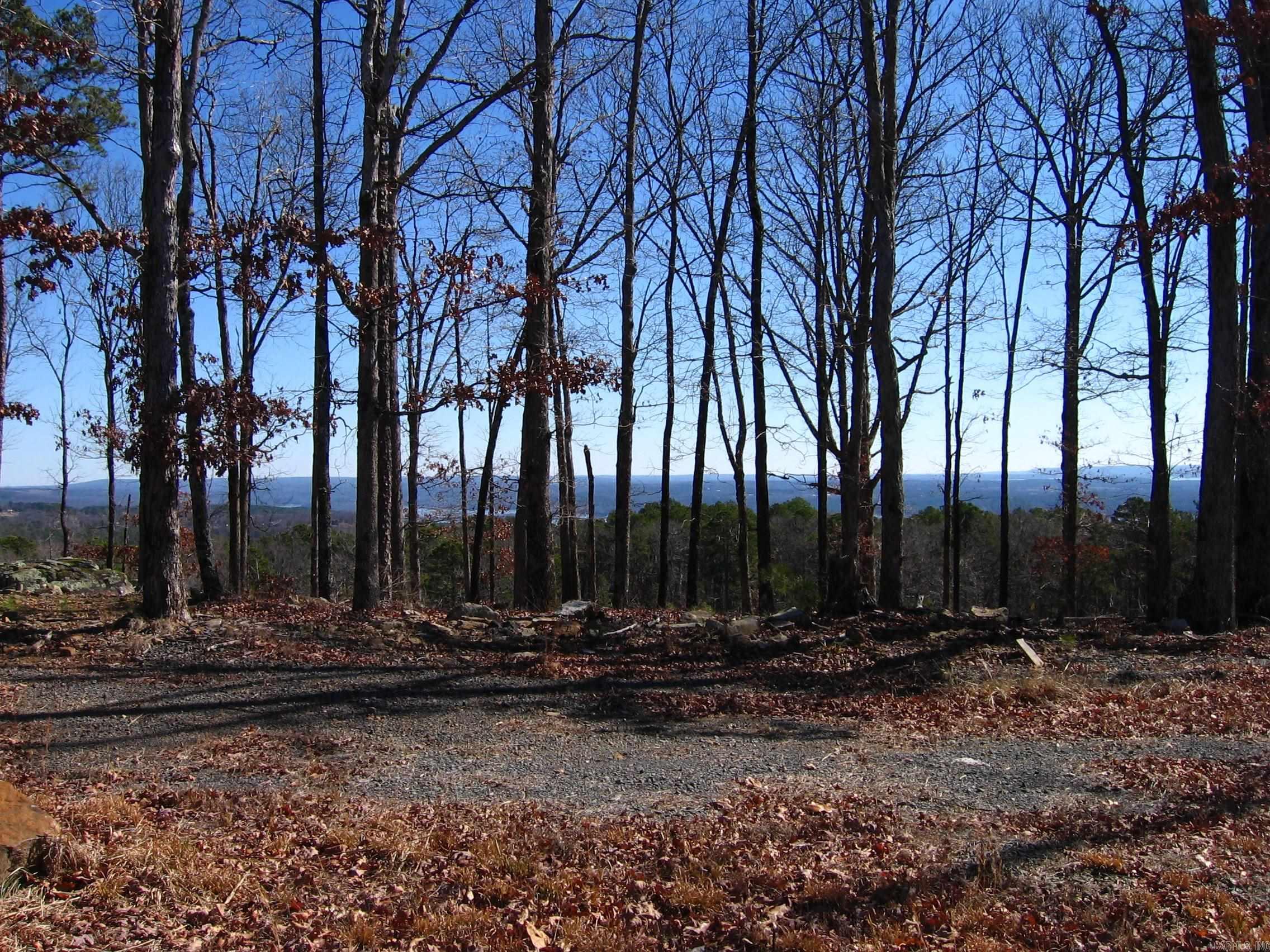 133  Osage Point  Fairfield Bay, AR