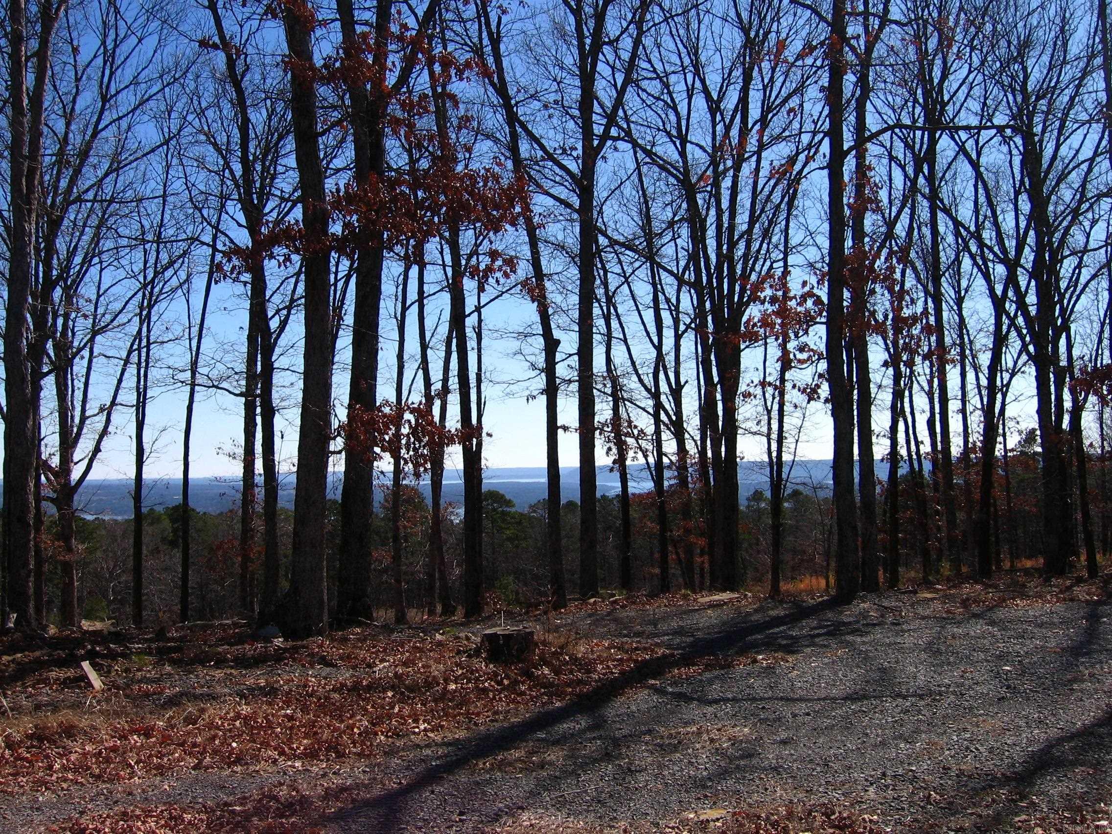 133  Osage Point  Fairfield Bay, AR