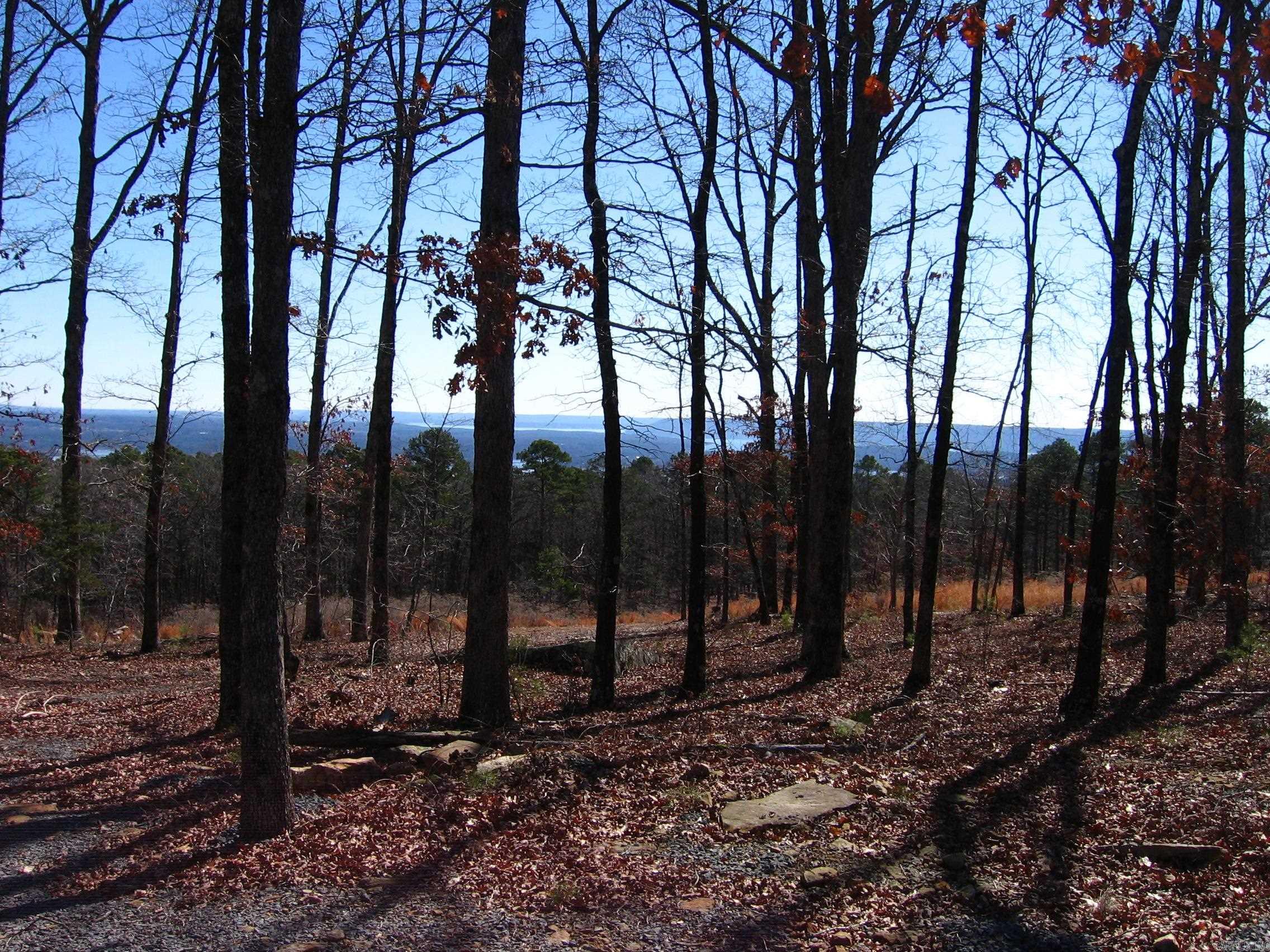 133  Osage Point  Fairfield Bay, AR