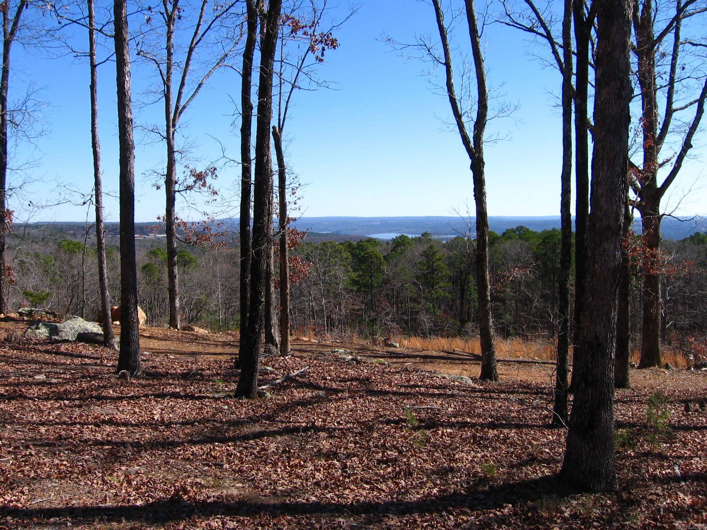 133  Osage Point  Fairfield Bay, AR