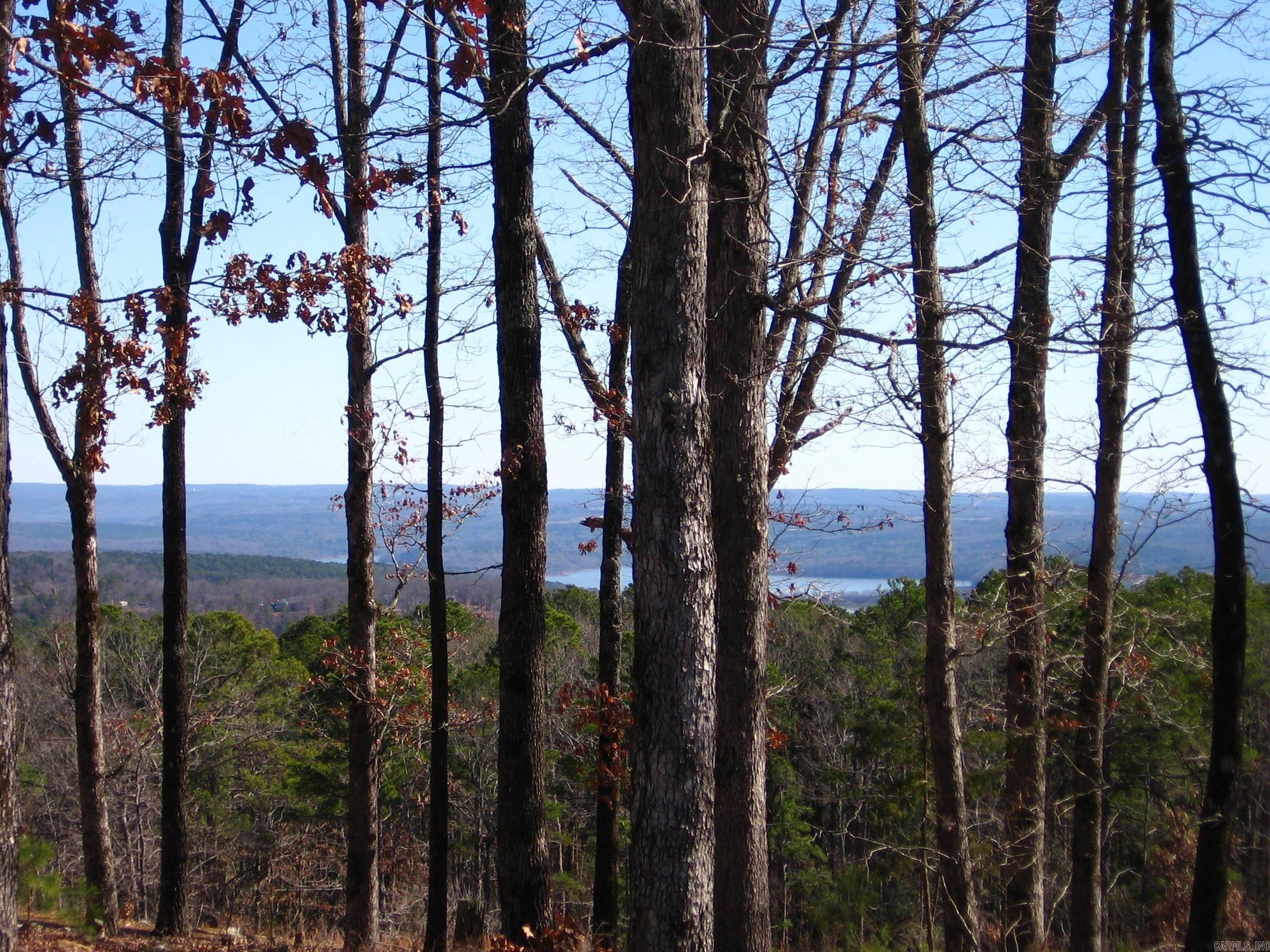 135  Osage Point  Fairfield Bay, AR